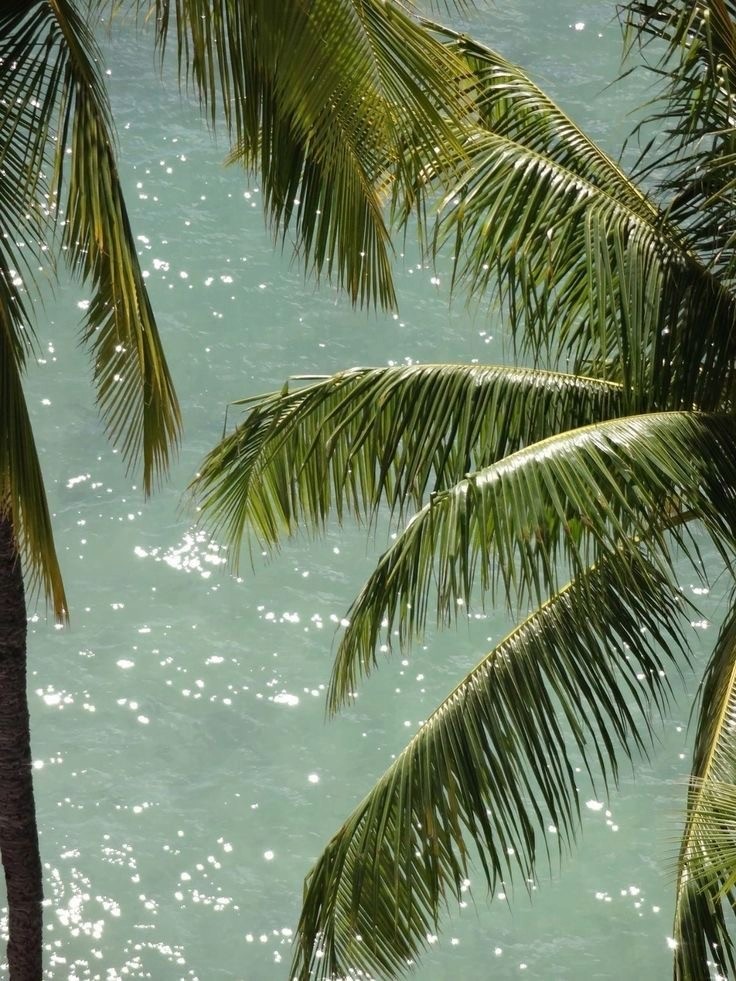 A serene outdoor wedding setup with white chairs arranged on green grass under a canopy of trees.
