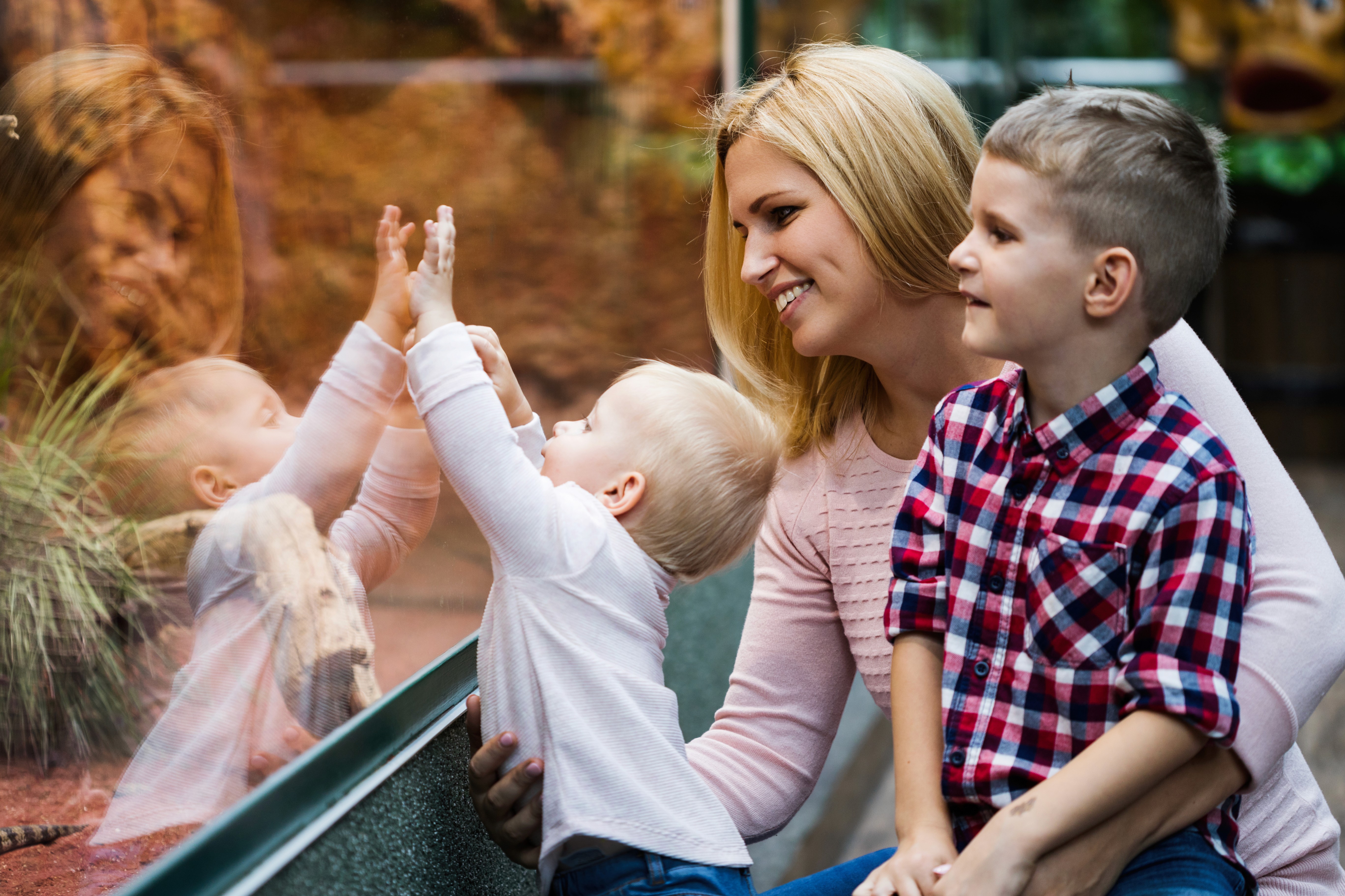 Eltern und Kinder beobachten ein Insekt im Terrarium bei einem Zoobesuch.