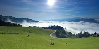 Slika Koroške regije