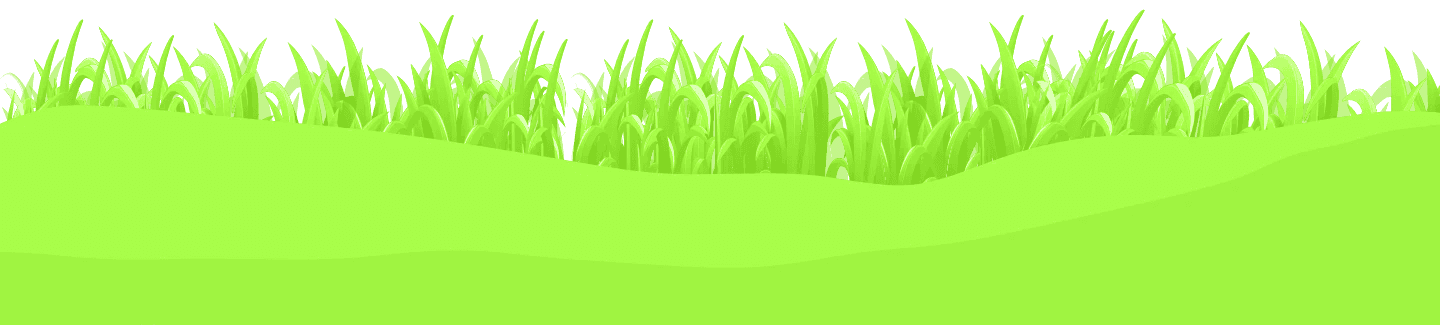 BG Grass