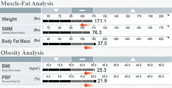 Body fat percentage
