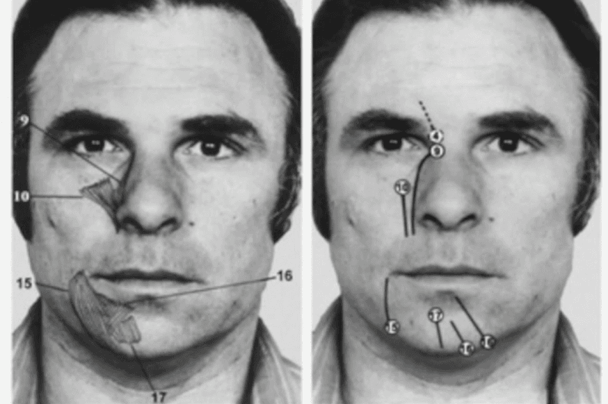 Facial Coding