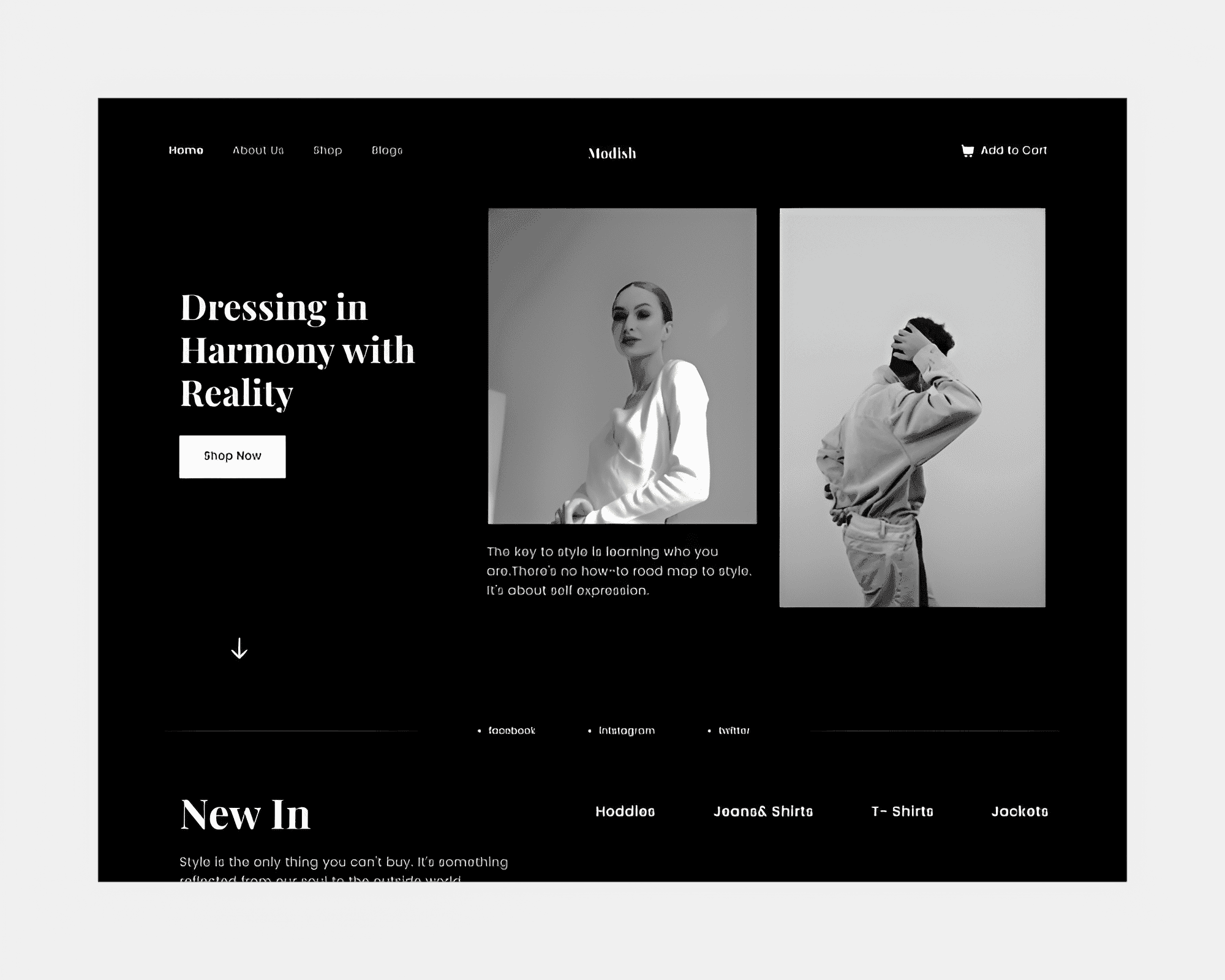 clothing minimal website design, hero