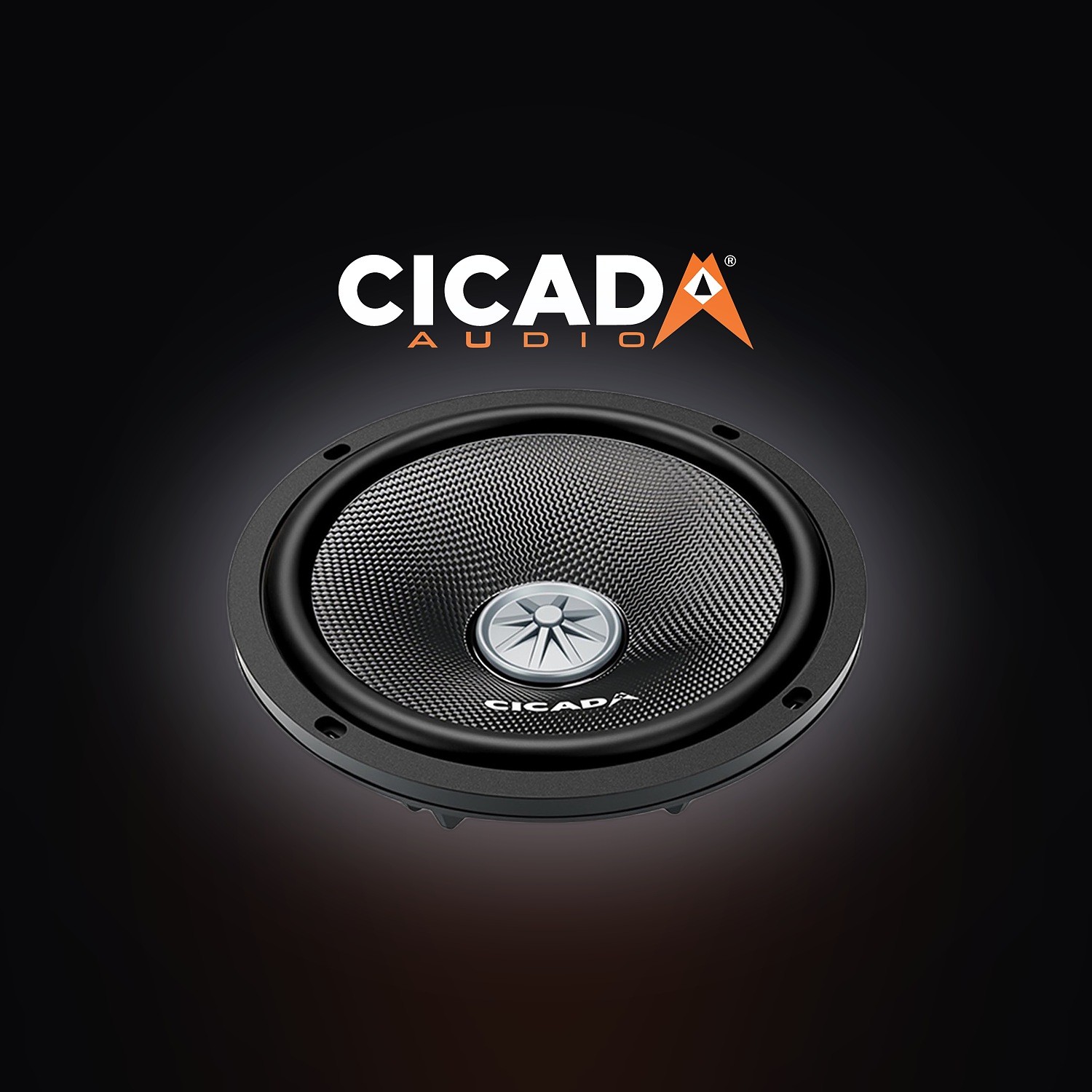 Cicada CXXM Midbass: die neue Serie (6,5 & 8 Zoll)
