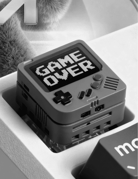 Palm trees frame a dramatic mountain valley landscape