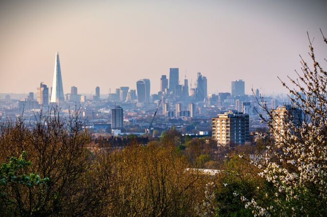 See the London Skyline From One Tree Hill