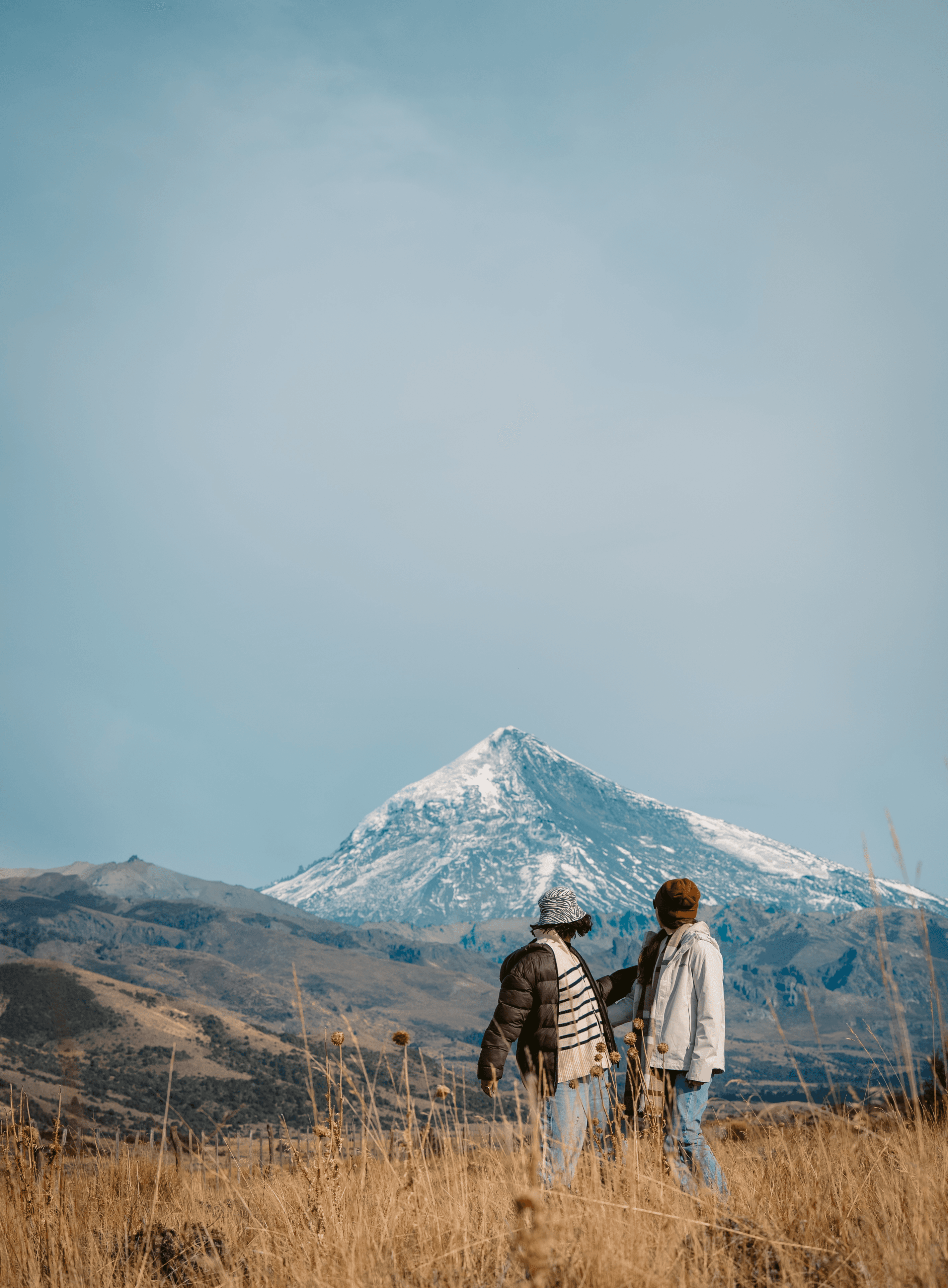 Here comes the alt text