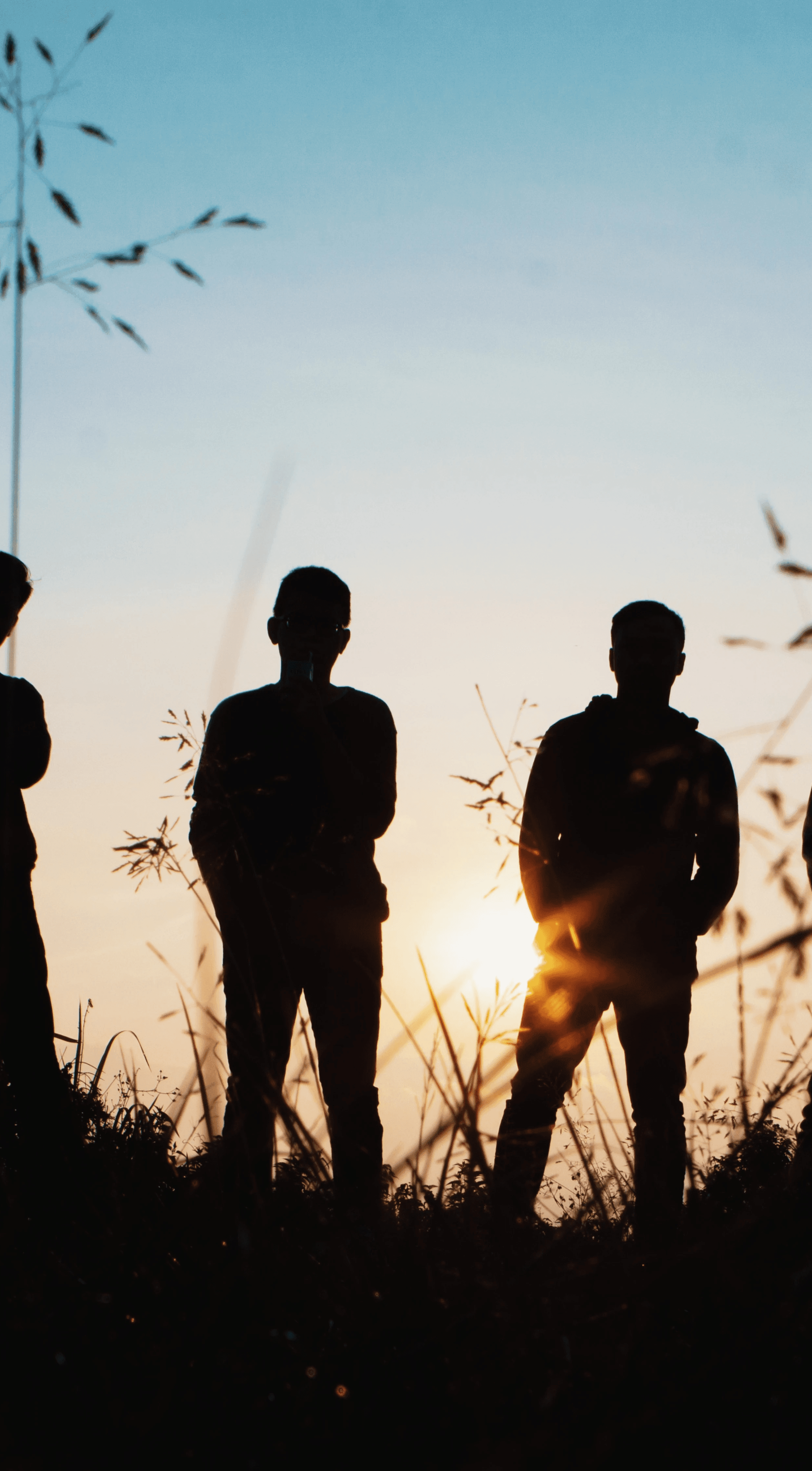 Gardener team at work