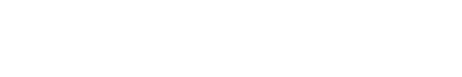 Webflow logo — RJP.design, a NYC web design agency specializing in Webflow website design and digital marketing.