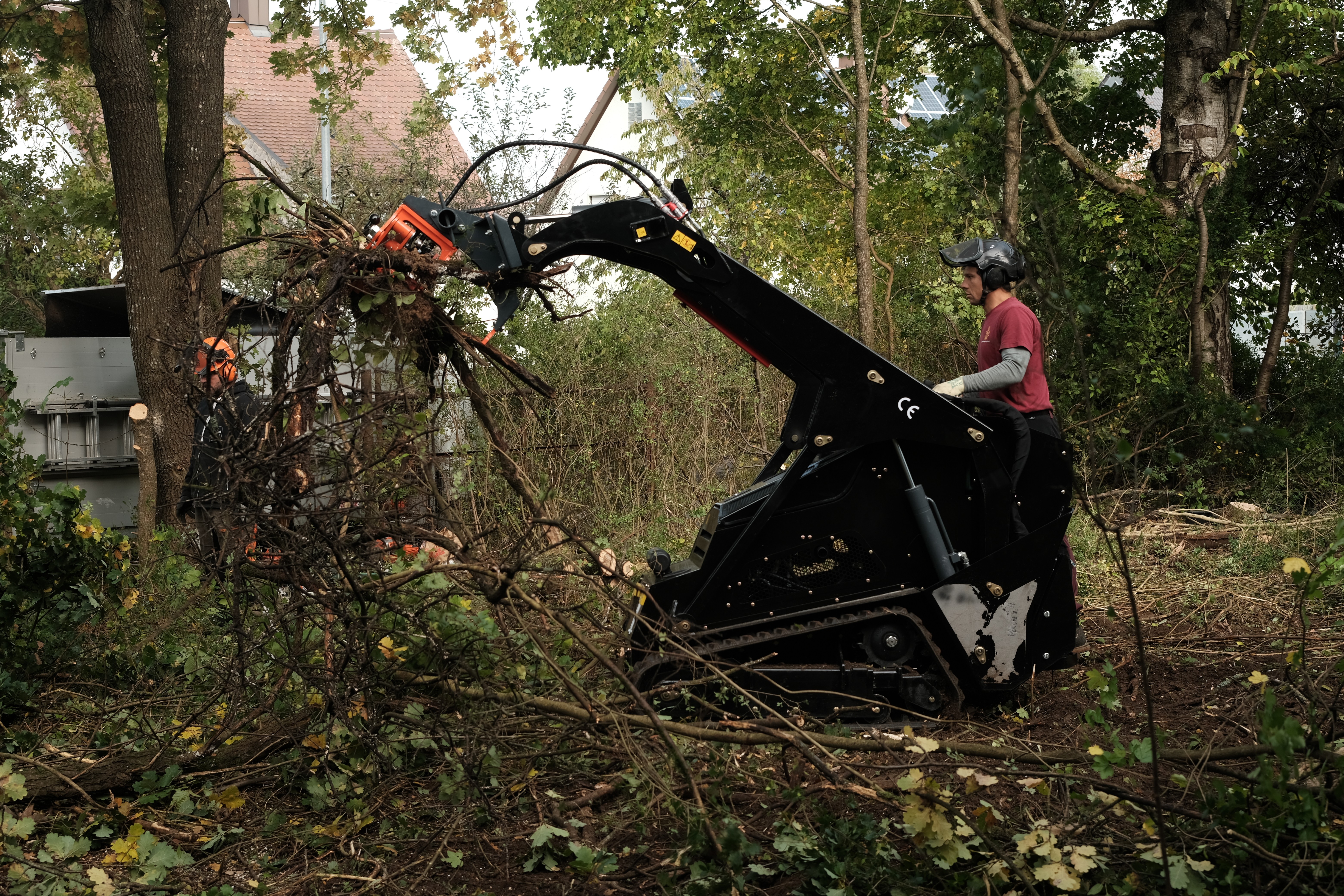 Baumpflege Augsburg MiniSkitsSkir Rodung