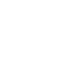 quality agent icon