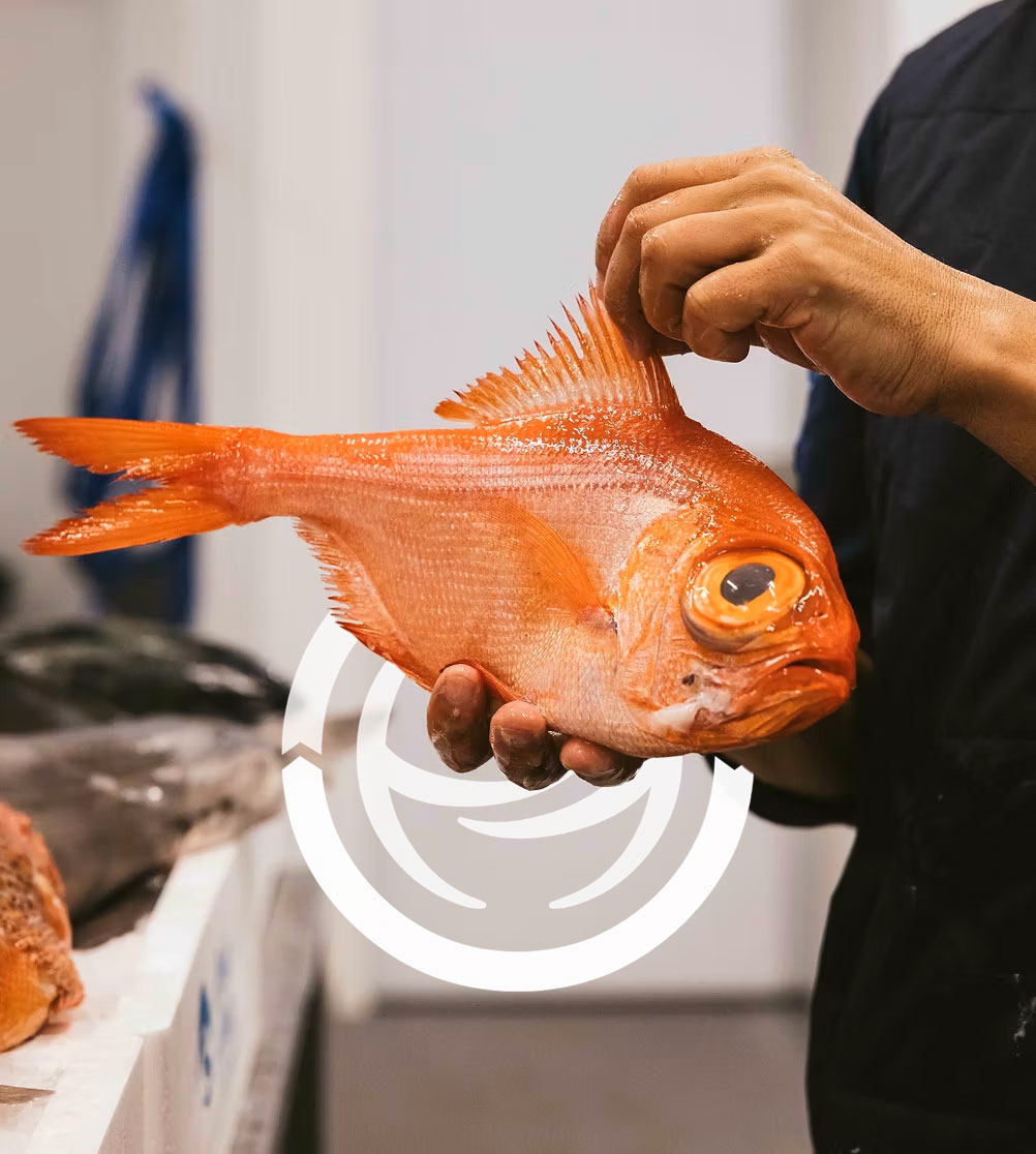 A woman in a straw hat stands in the grass