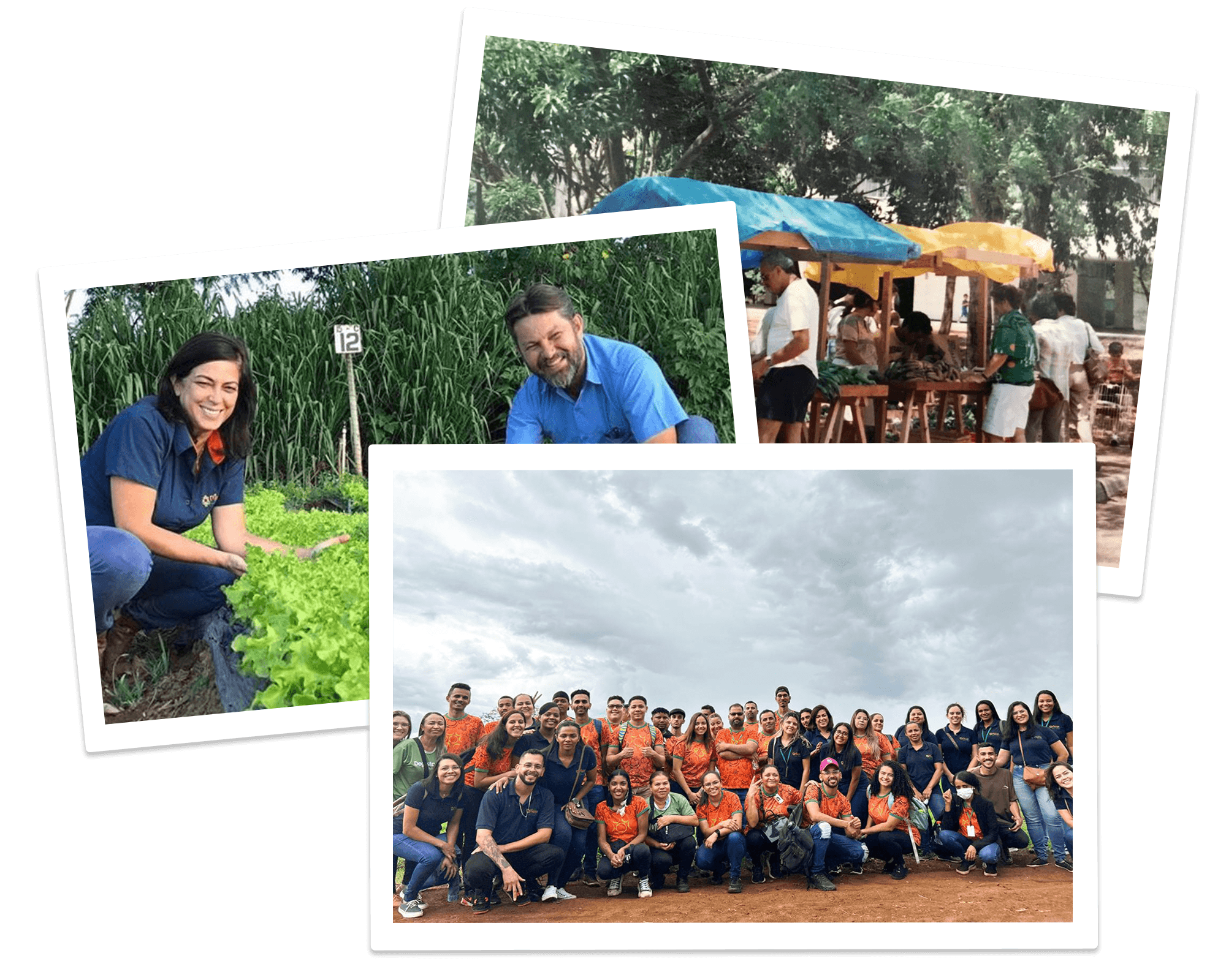 Foto da antiga equipe da Fazenda Malunga