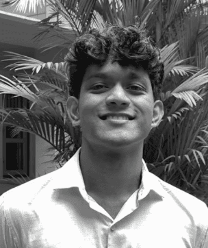 Close-up of a tree stump showing growth rings and a textured brown wood surface.