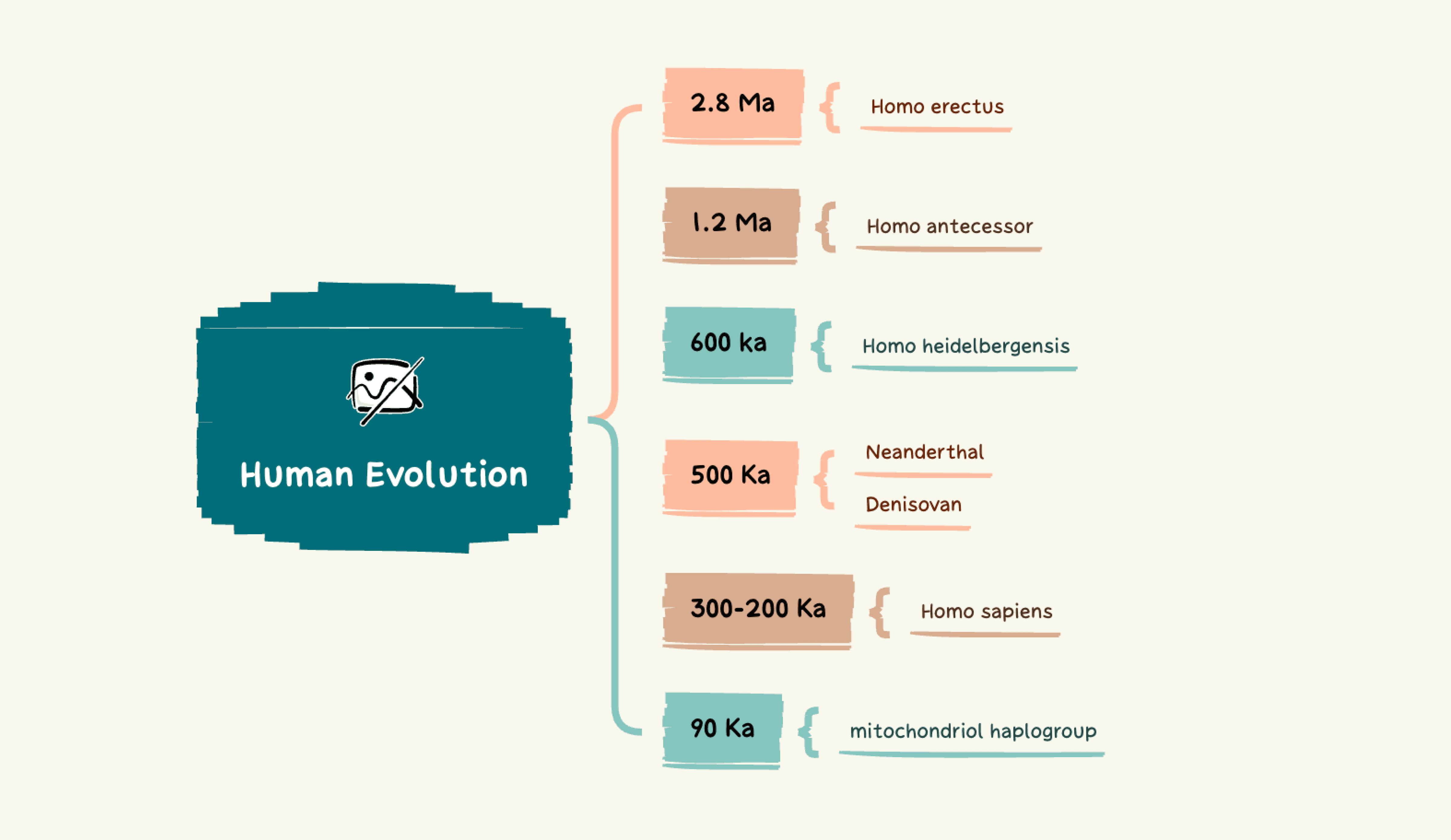 Modelo de Mapa de evolução humana, destacando marcos por períodos de tempo e fatores biológicos chave