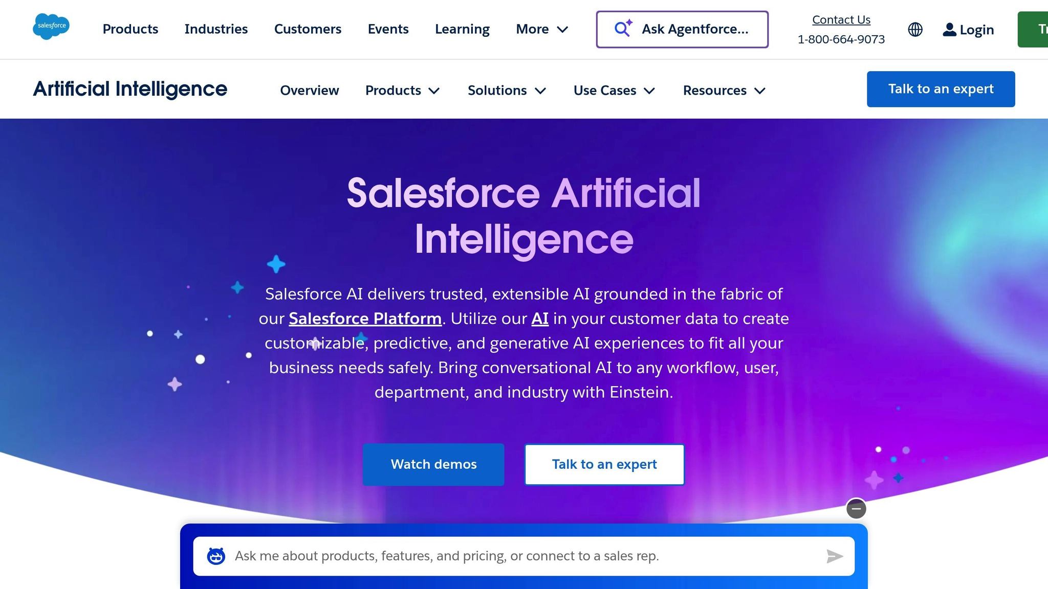 Salesforce Einstein