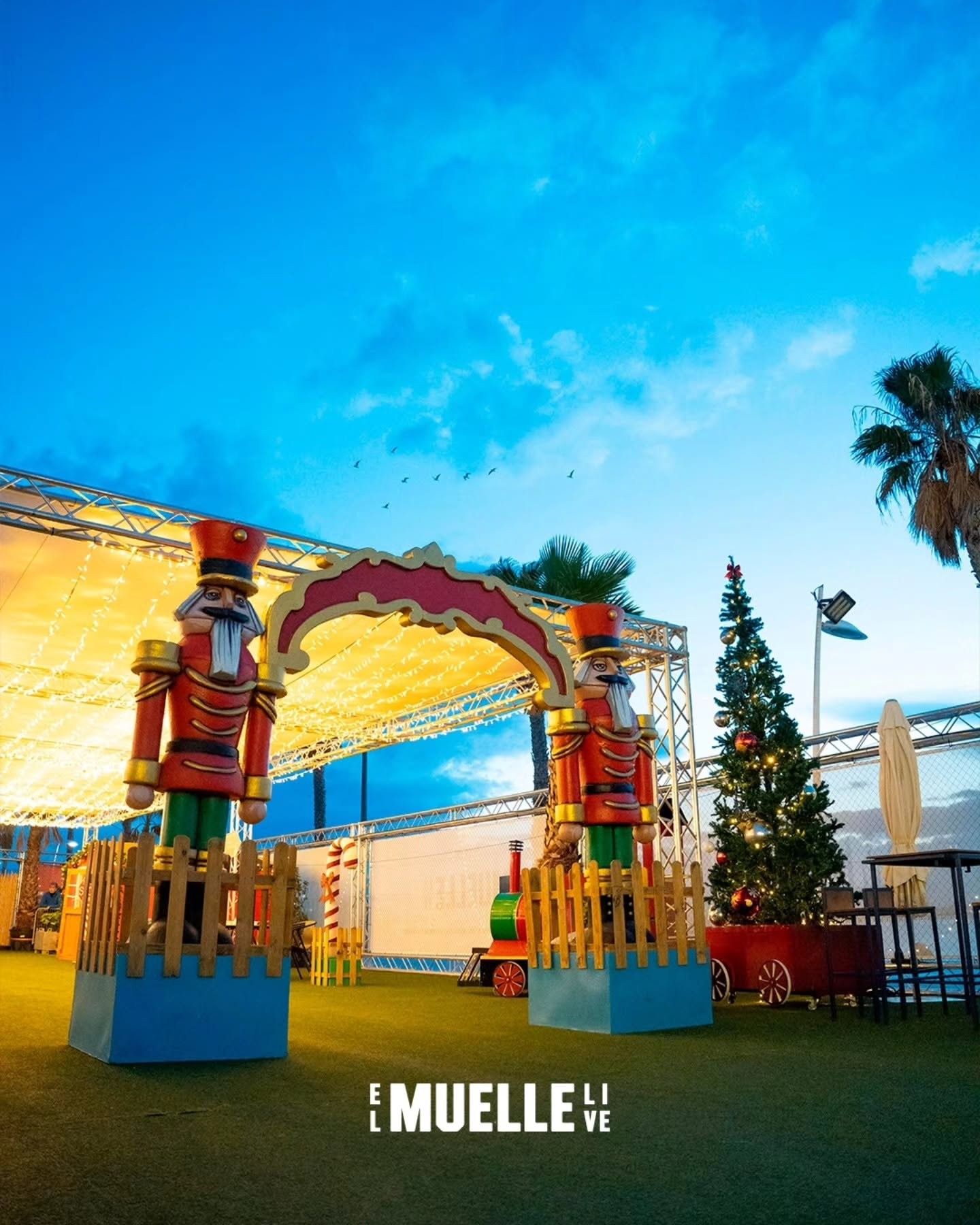 Proyecto 10 · NAVIDAD Y LUZ DECORATIVA · Ledilux