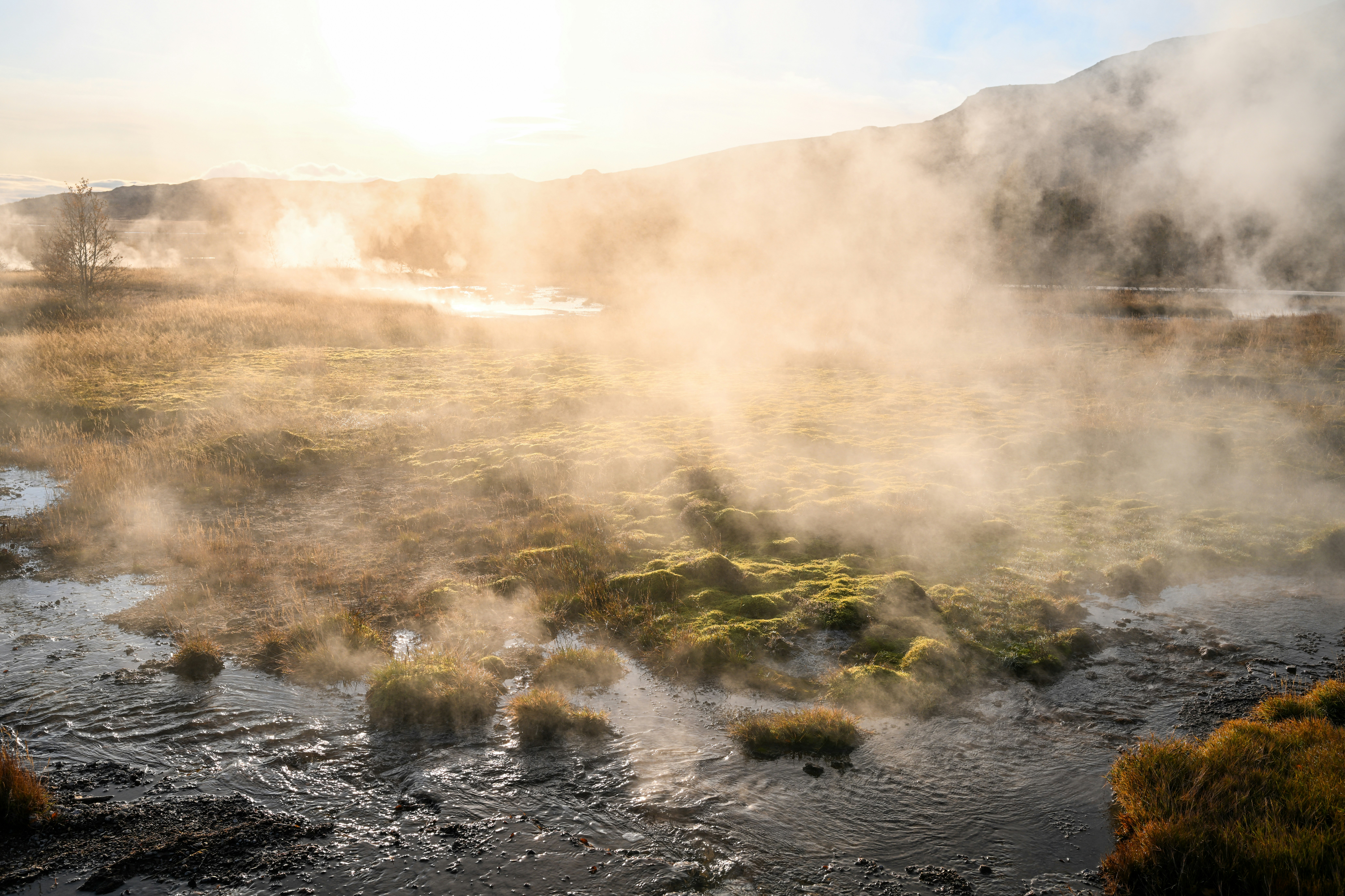 Steam rising from natural hot springs.