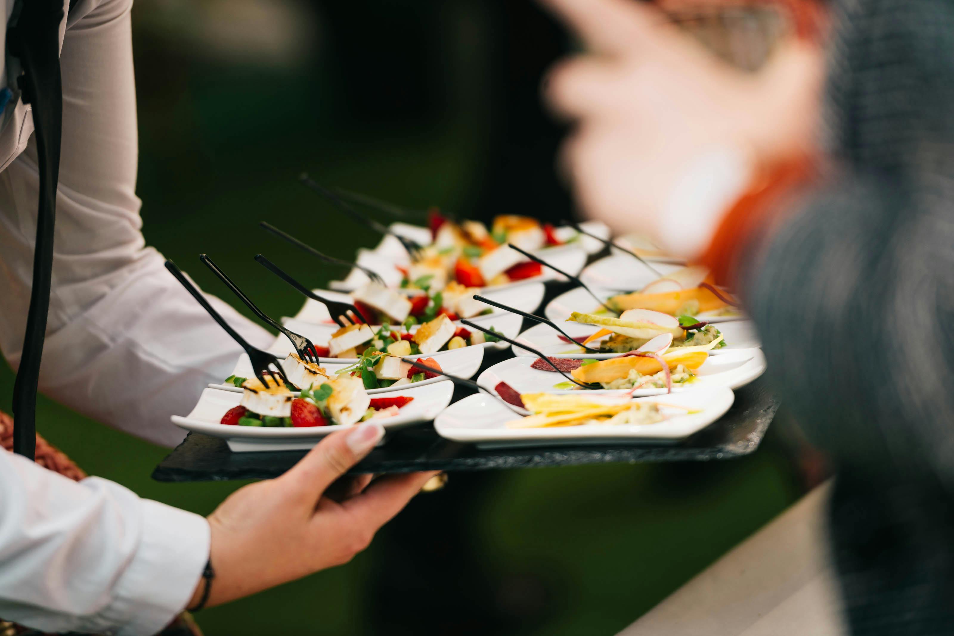 elegant-catering-presentation-with-gourmet-appetizers-on-a-tray-at-a-social-even - novkov-visuals (pexels)