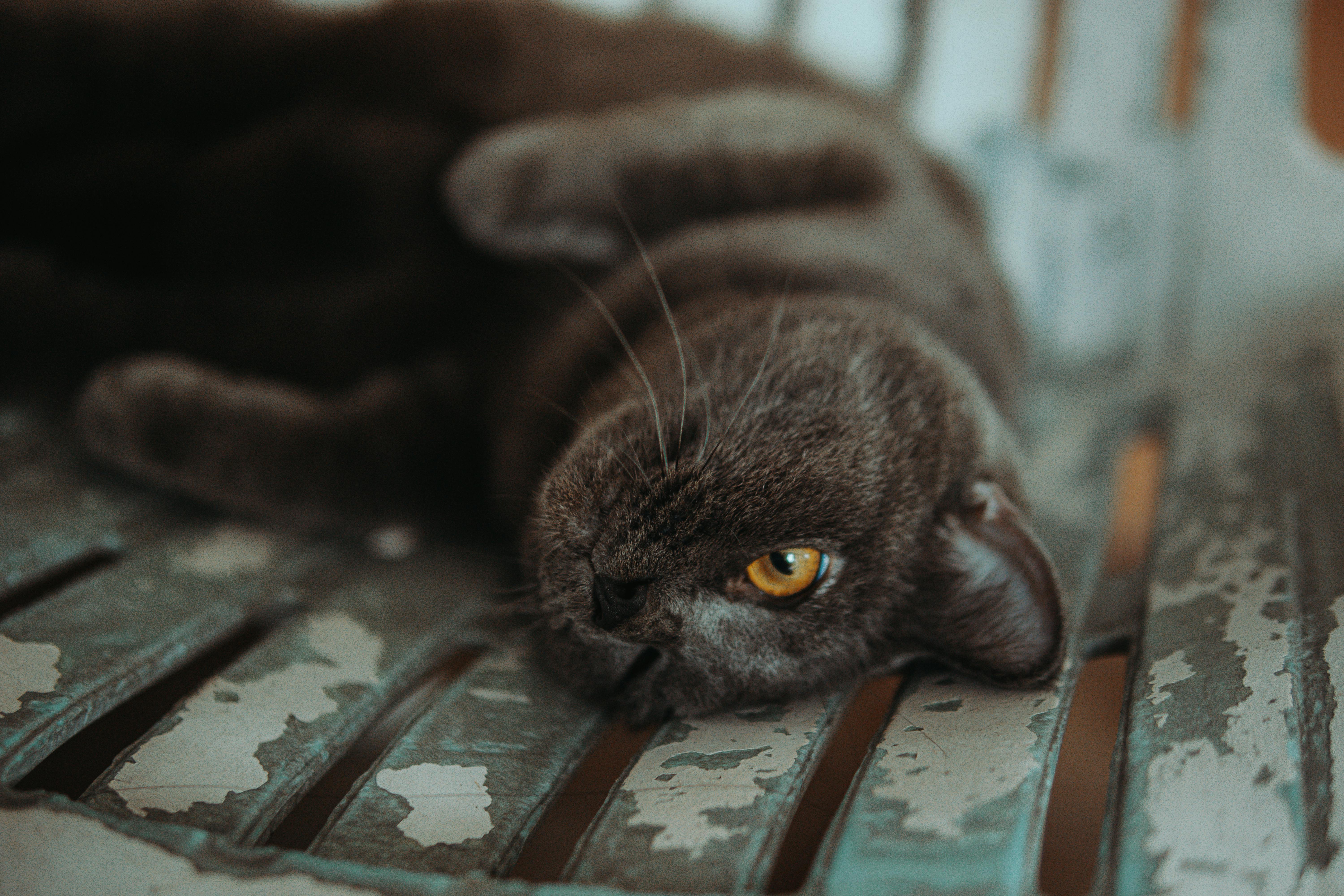 Group of young adults in athletic wear sitting on outdoor steps near a modern overpass, smiling and stretching together in a relaxed, casual moment.