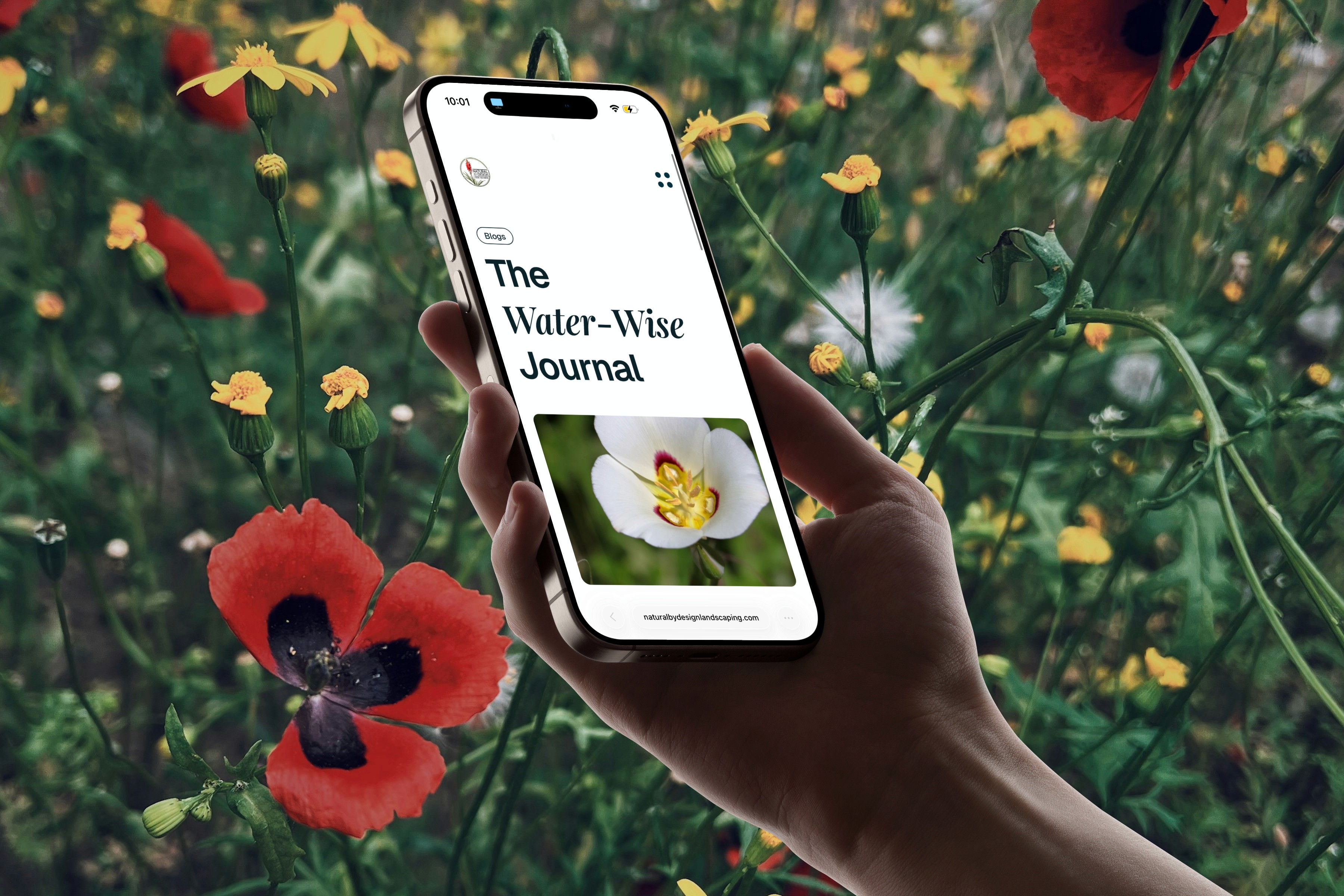 iPhone mockup for Natural By Design #3
