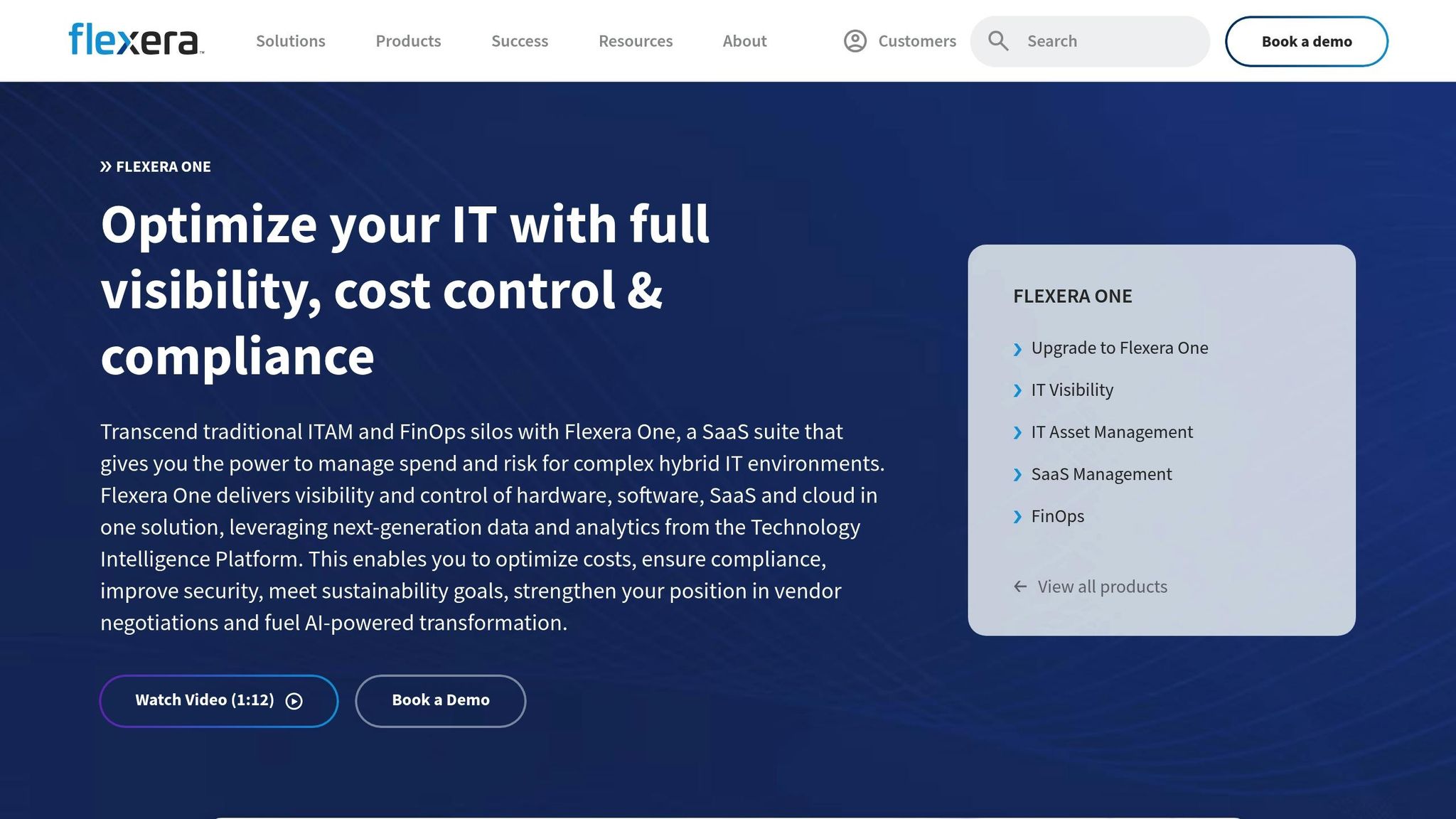 Flexera One