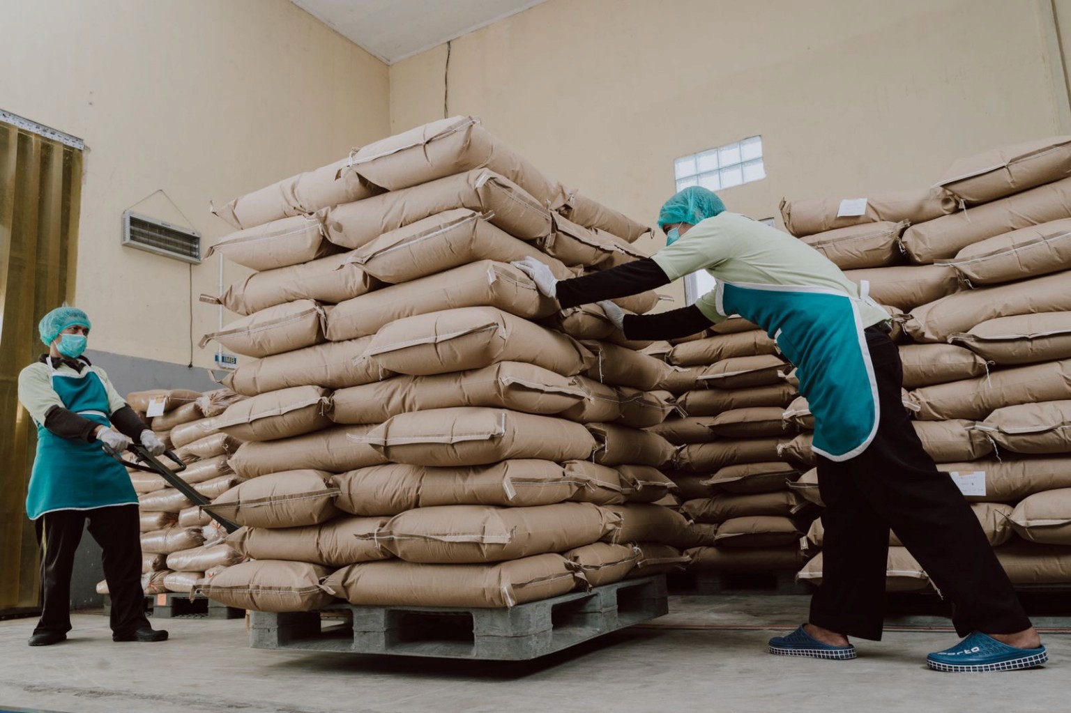 organic coconut sugar supplier