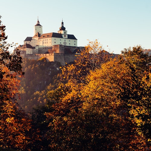 获取福尔赫滕施泰因堡冬季导游游门票
