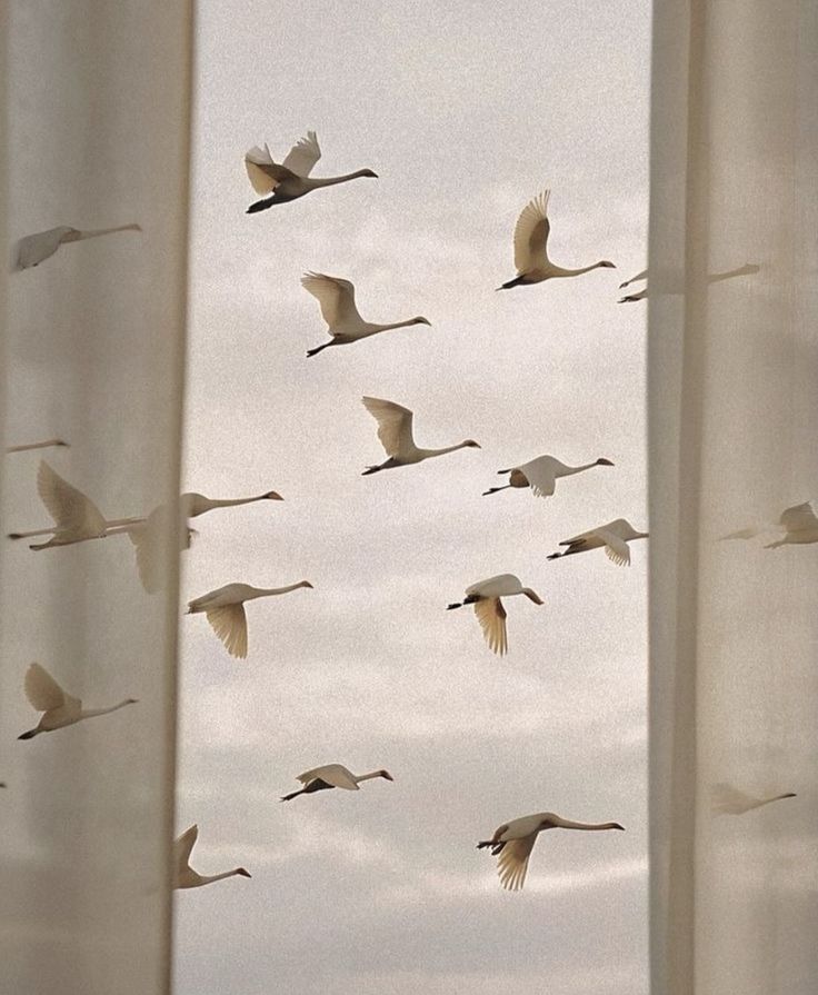 Woman pouring vitamins in her hand