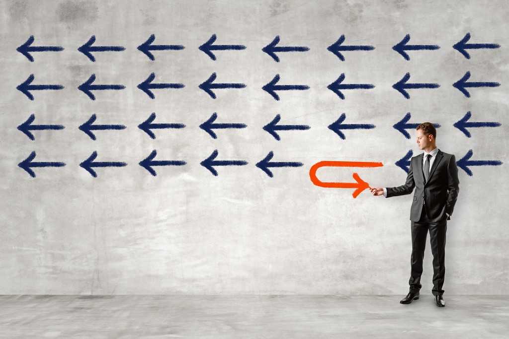 Close-up of evergreen foliage, showcasing vibrant green needles densely packed together.