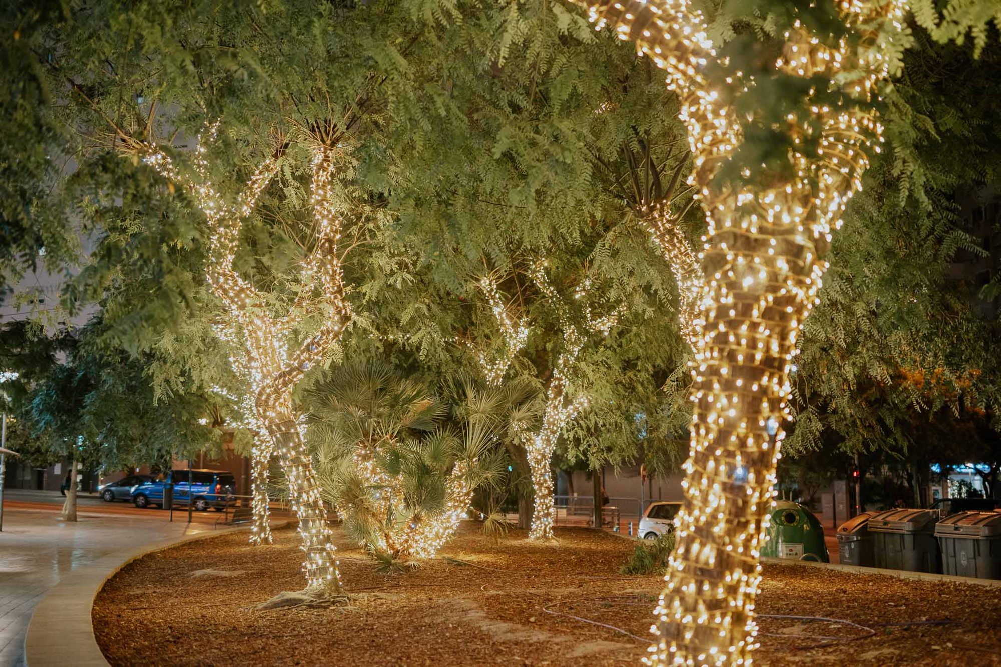 Proyecto 16 · NAVIDAD Y LUZ DECORATIVA · Ledilux