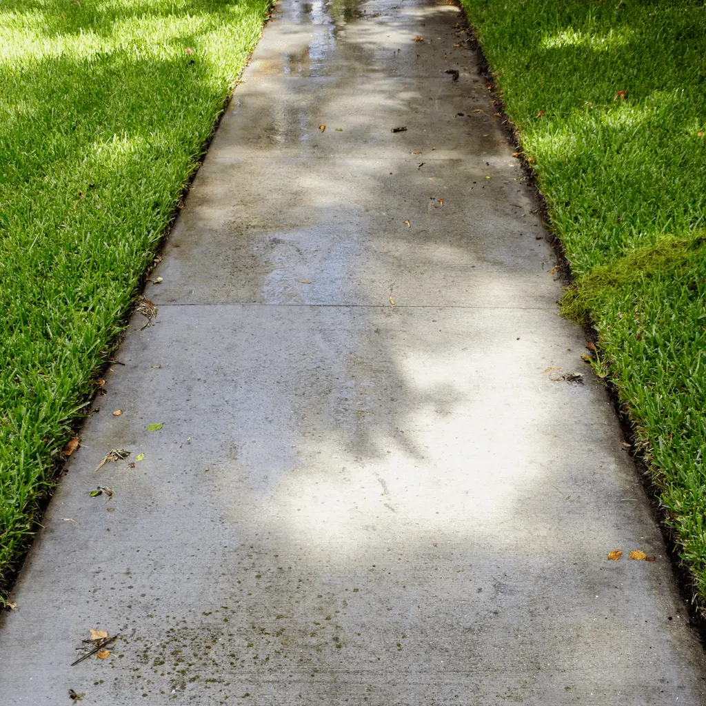 cleanly power edged lawn against sidewalk