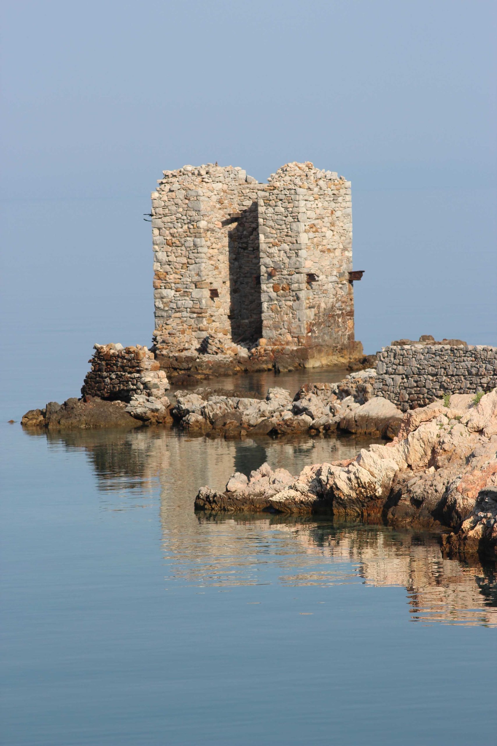 a black and white cat laying on top of a white wall