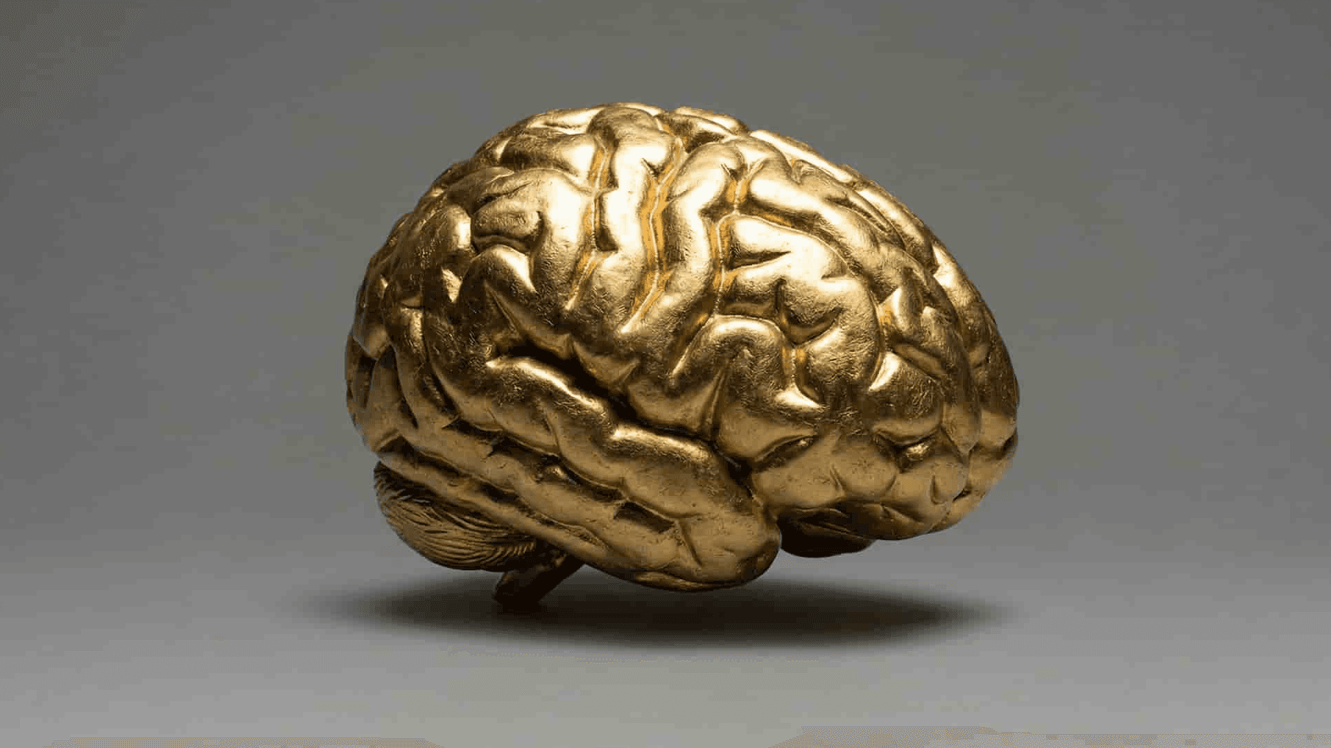 Mainframe services work: shaping client briefs into visual ideas in a concept-driven style for campaign development.