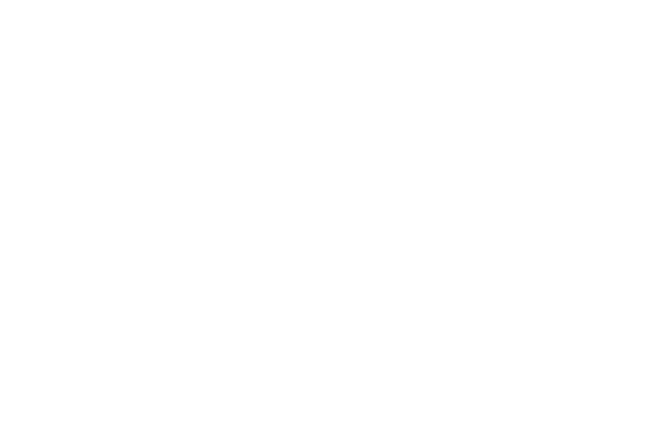 Logo for an imagined company
