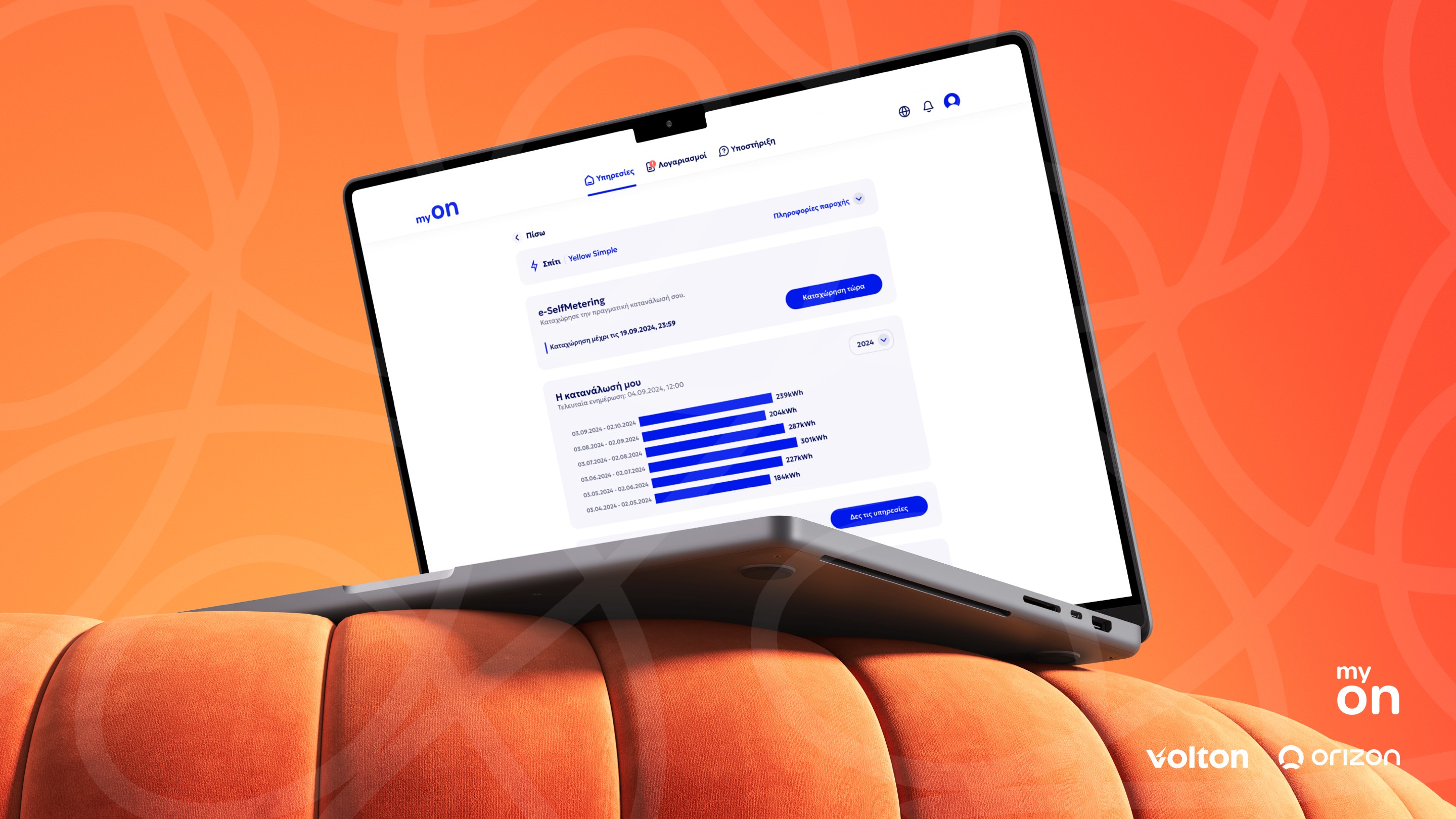 Volton myON web app showing electricity consumption and self-metering data