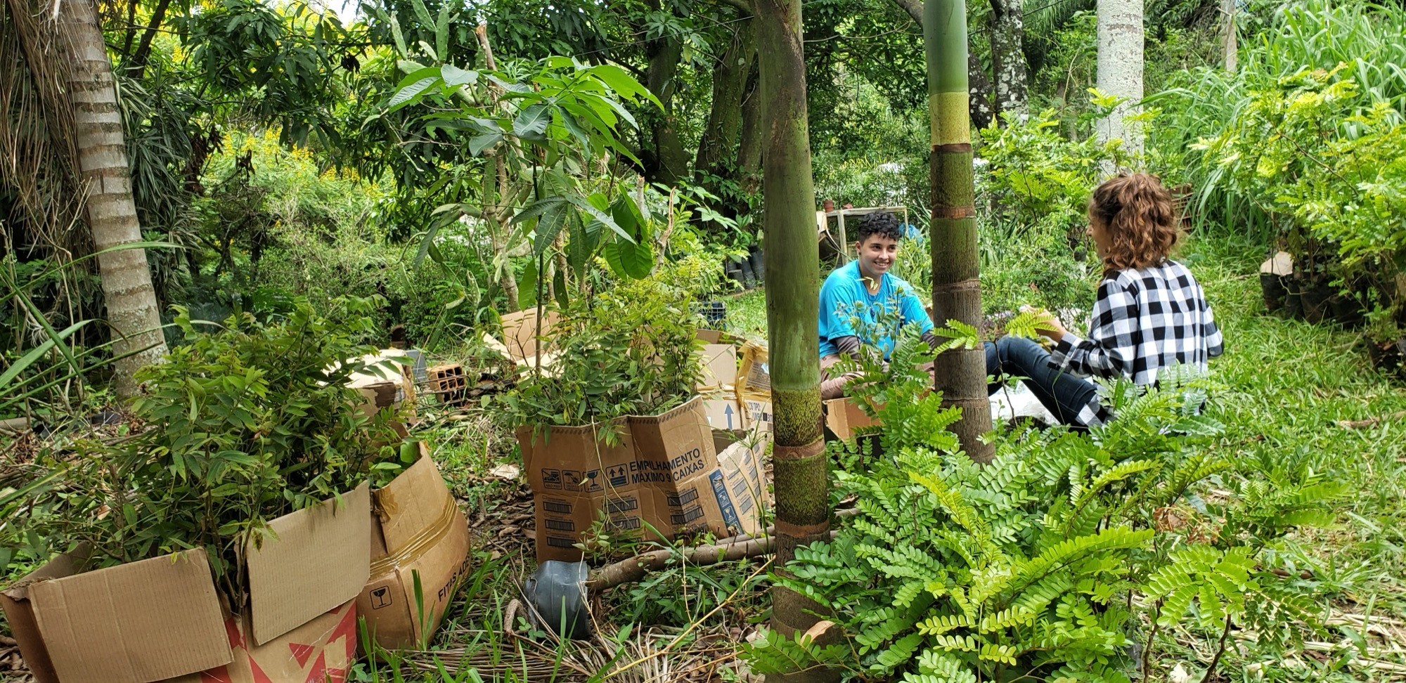 Duas pessoas sentadas entre caixas de papelão com mudas, cercadas por vegetação