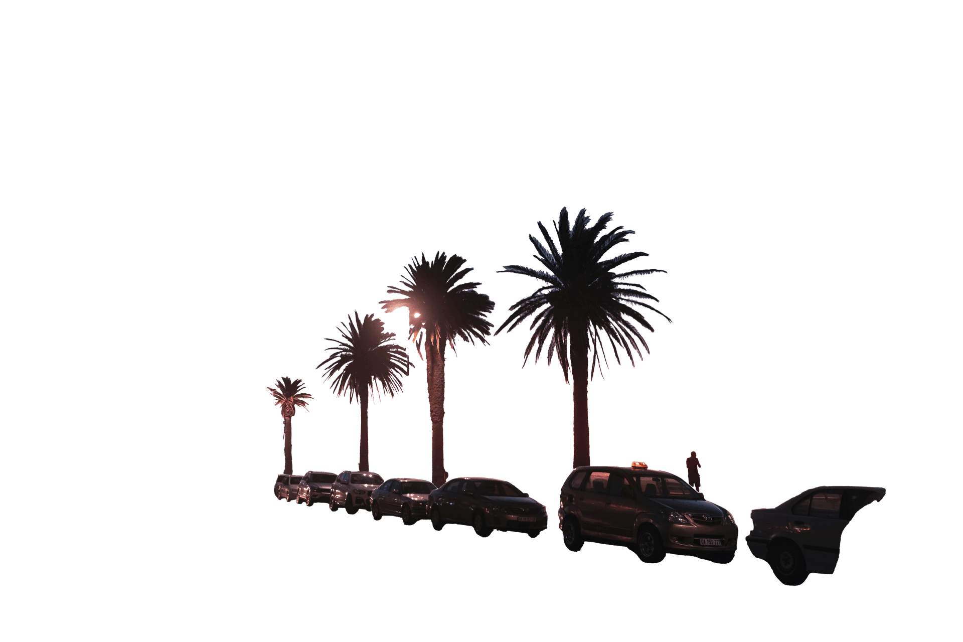 Silhouette von Palmen und Autos, die an einer Straße entlang geparkt sind, die von der Abendsonne beleuchtet wird.