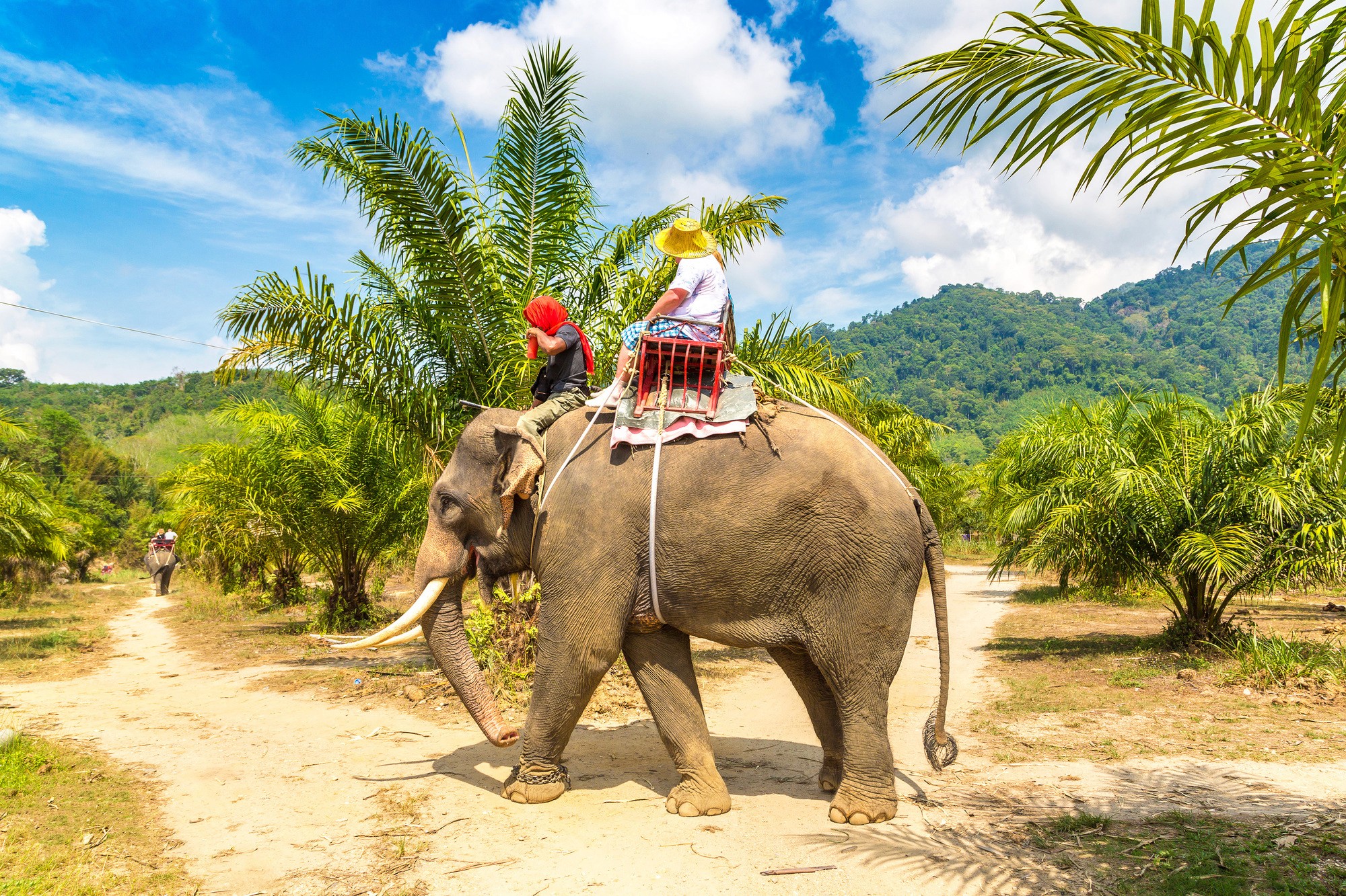 woman floating on body of water