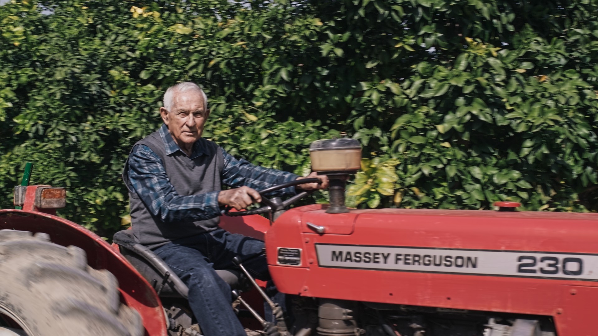 A farmer is driving his truck in the orange groove