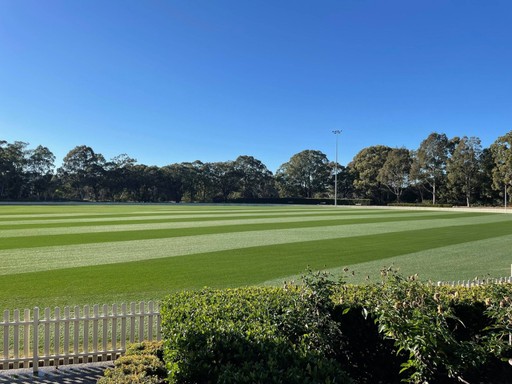 Perennial ryegrass at Liverpool Council