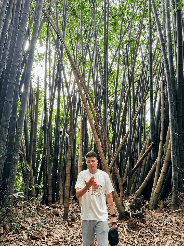 Becoming mosquito food