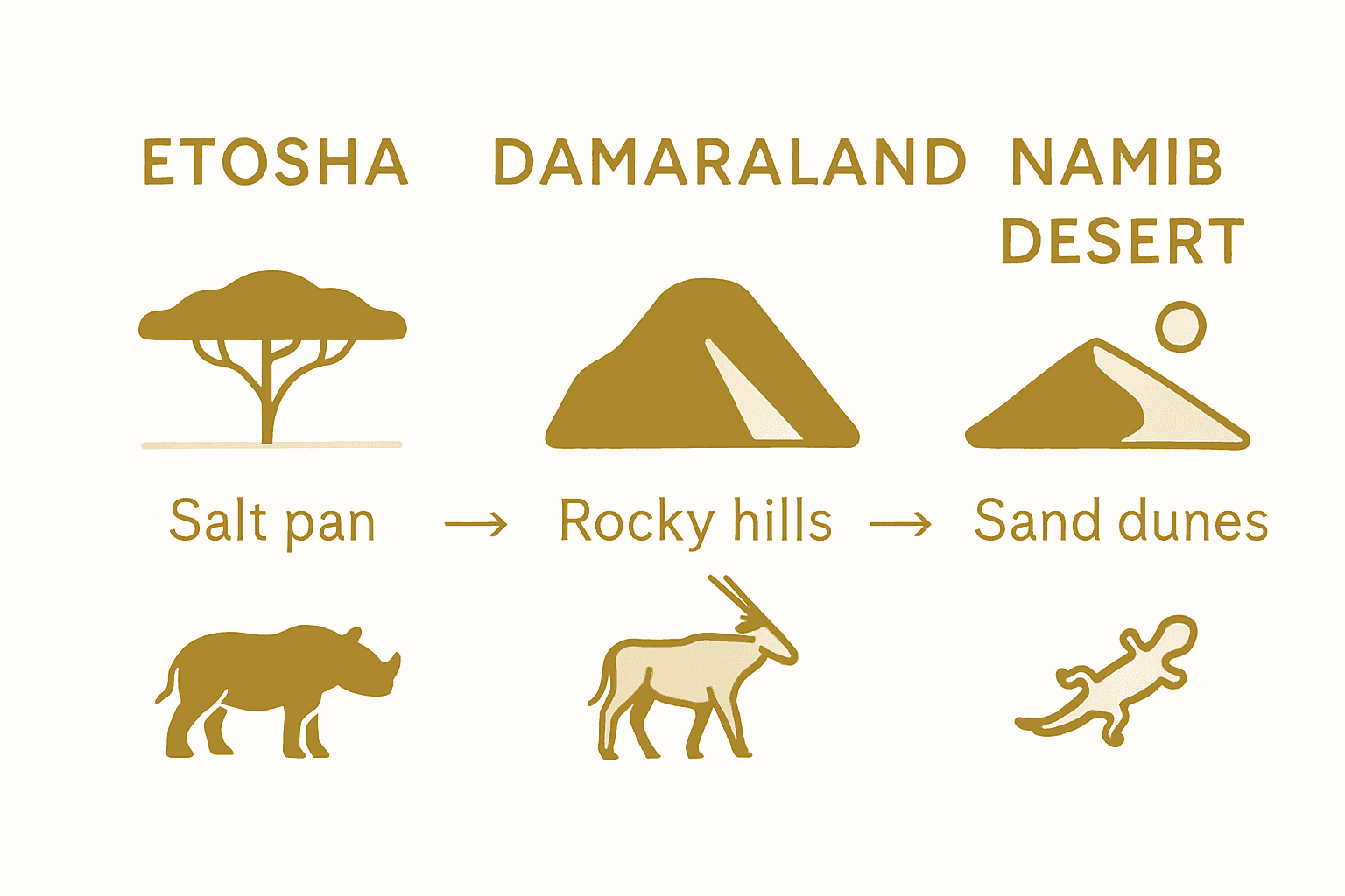 Infographic comparing Namibia safari destinations