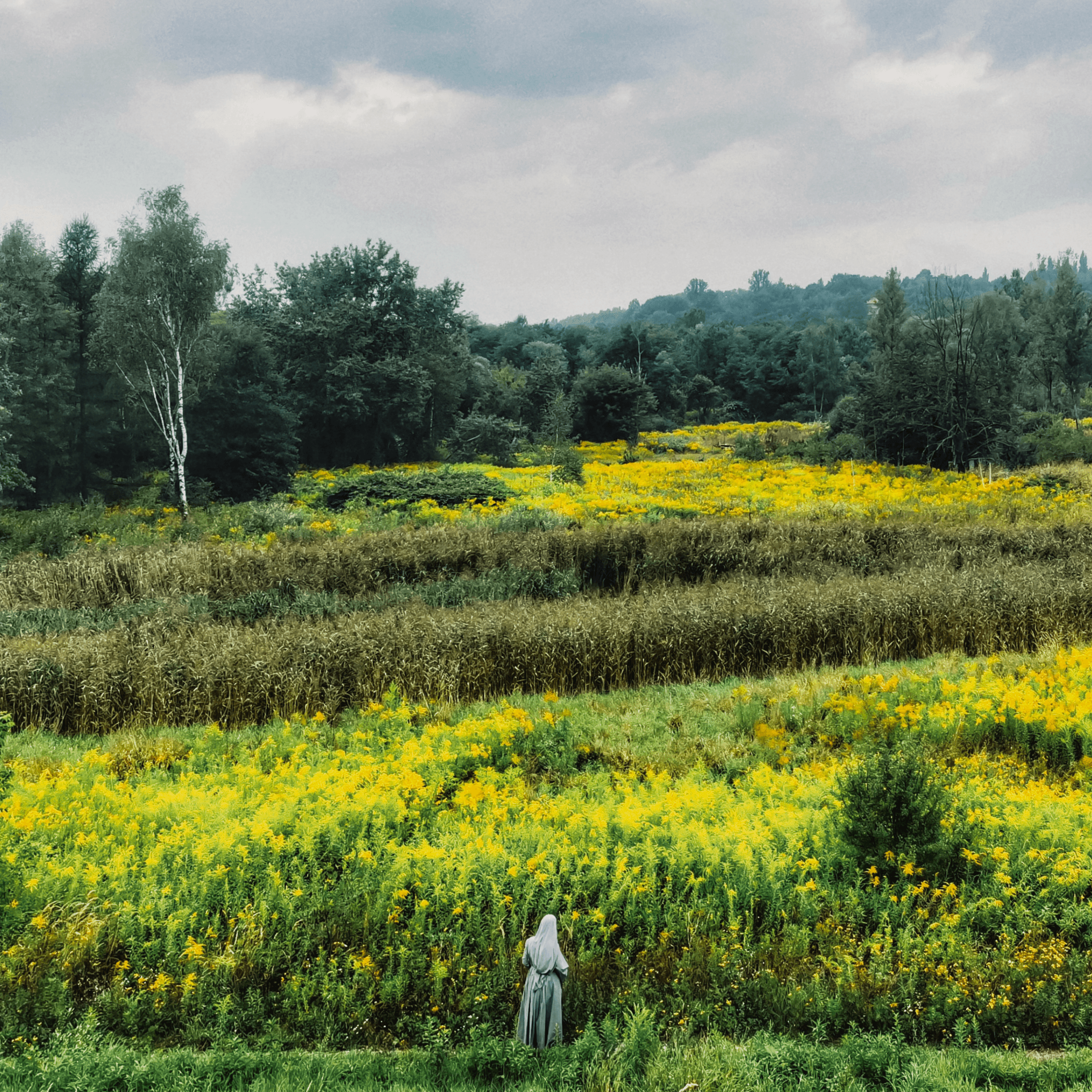 Group of friends smiling on a lively city street at night