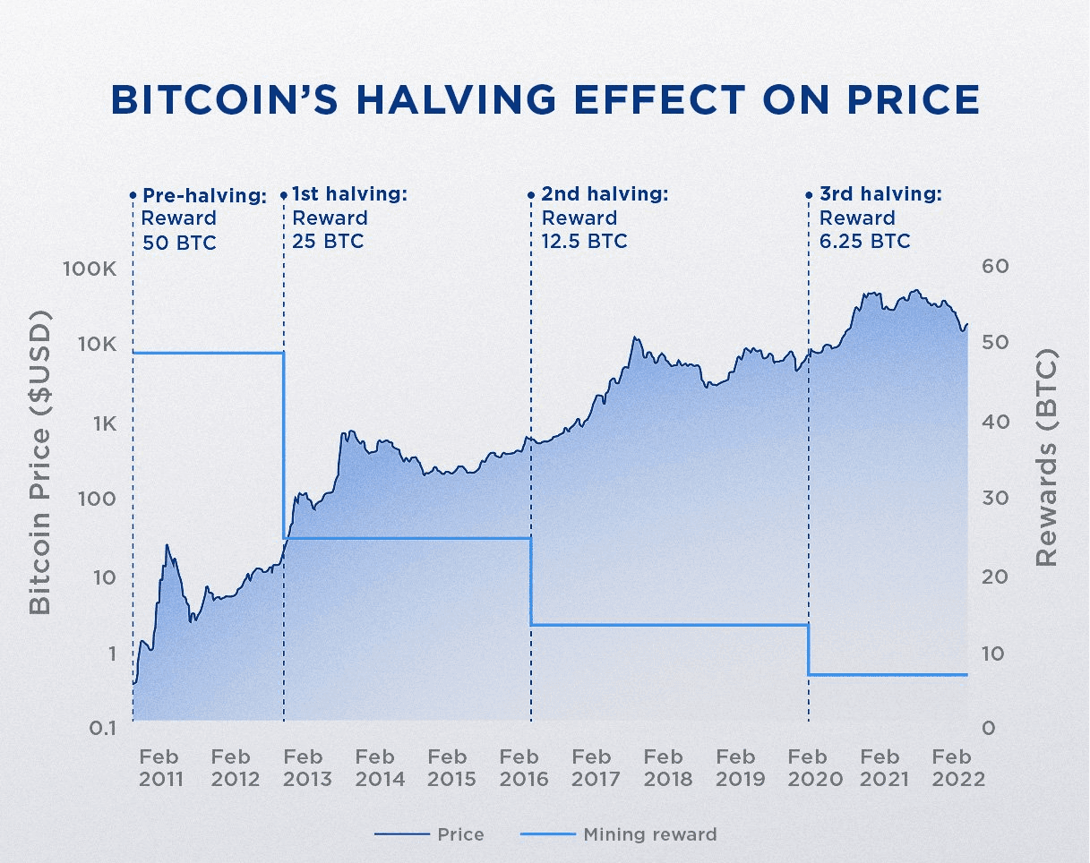 Effect of Bitcoin Halving on price