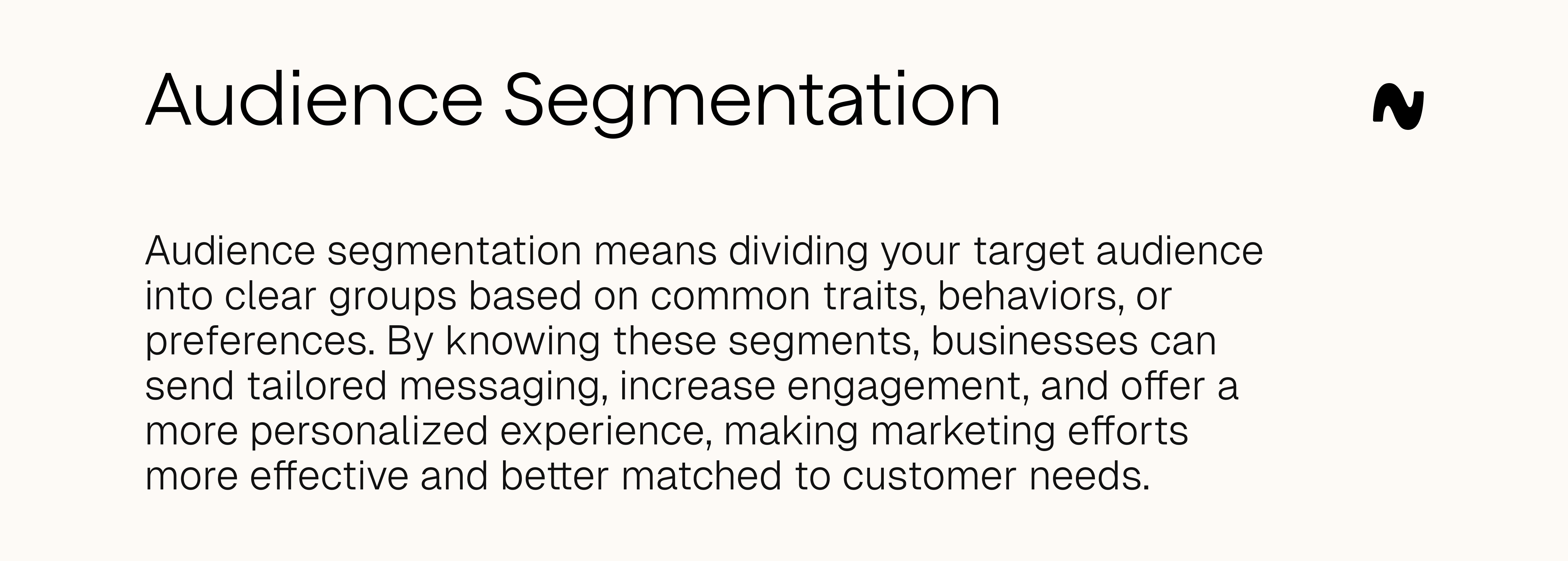 Audience segmentation definition 