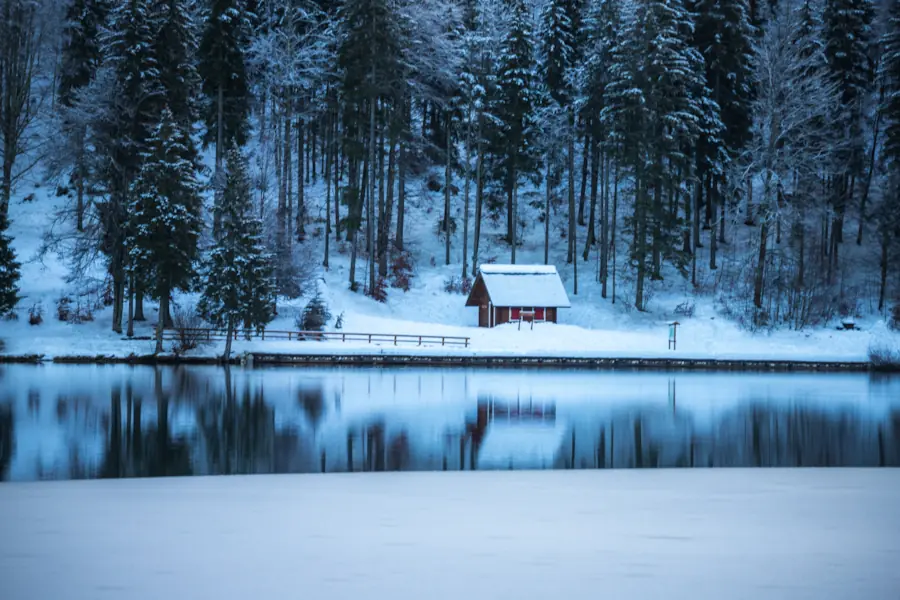 A small wooden cabin with a snow-covered roof reflected in the still, icy waters of Lago di Fusine (Fusine Lakes), Italy, nestled against a dense forest of frost-dusted evergreen trees during a cold winter day.