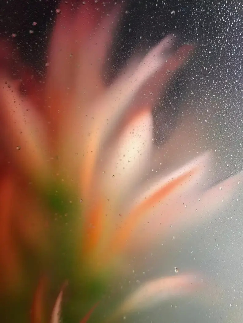 Aroma Therapy Floral