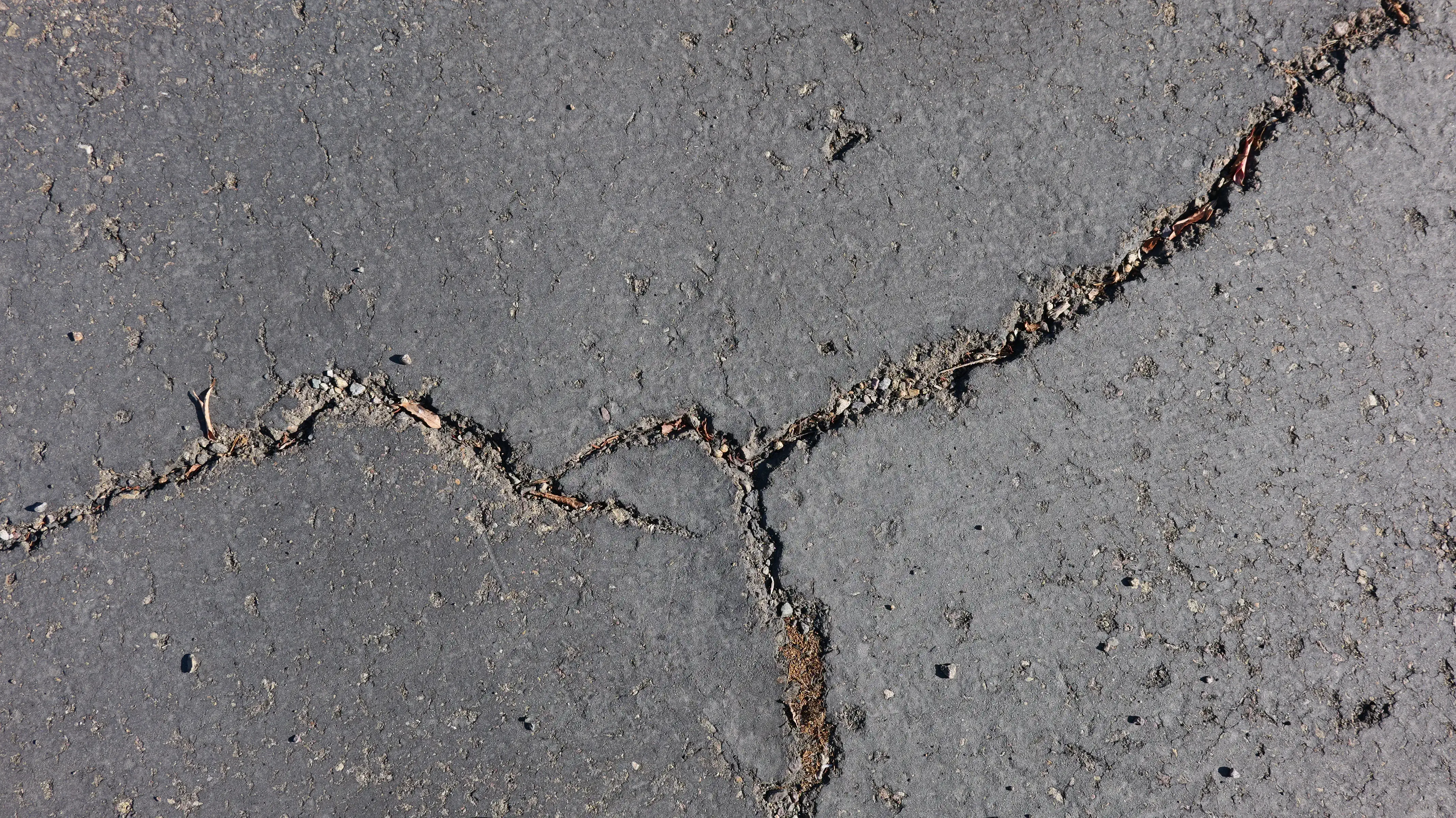 Close-up photo of a large crack in asphalt pavement