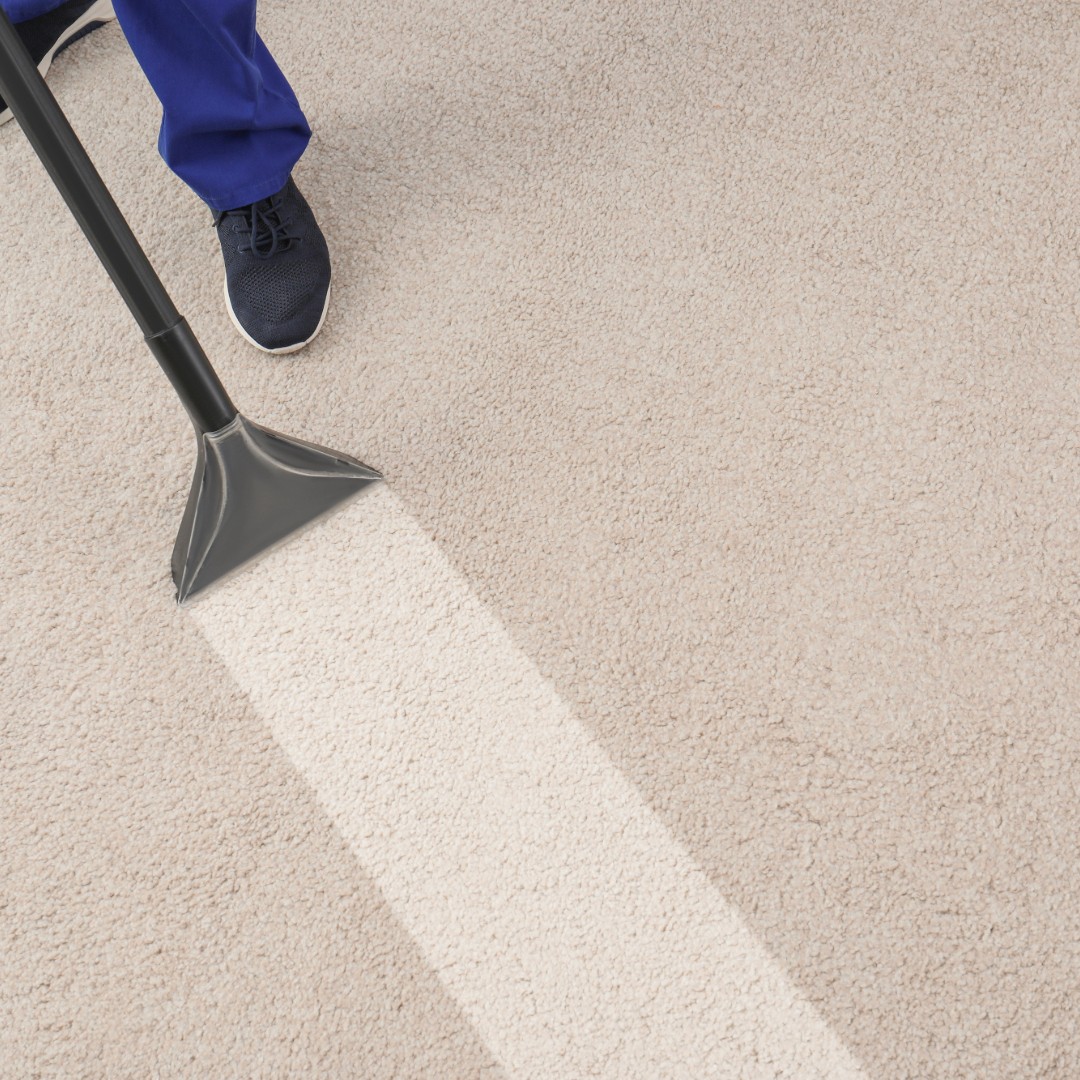 Drying carpet after cleaning